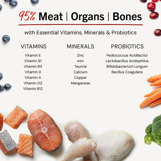 Stella & Chewy's Freeze Dried Raw Dinner Patties – Crafted for Puppies – Grain Free, Protein Rich Perfectly Puppy Chicken & Salmon Recipe – 5.5 oz Bag