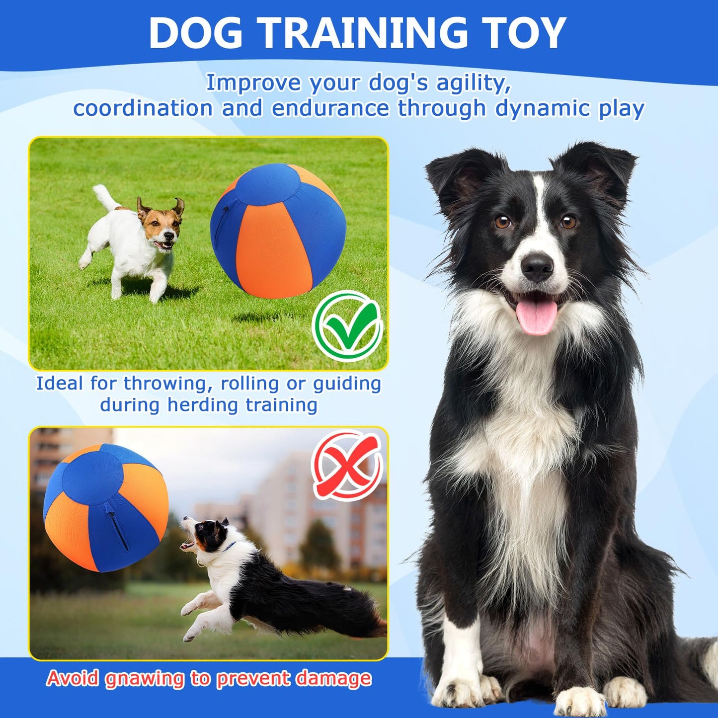 LaRandom 2 Set 17 Inch Herding Ball for Dogs Durable Dog Herding Ball with Full Coverage Oxford Cloth Cover Pump Tool Agility Training Equipment for Australian Shepherd Cattle Border Collie