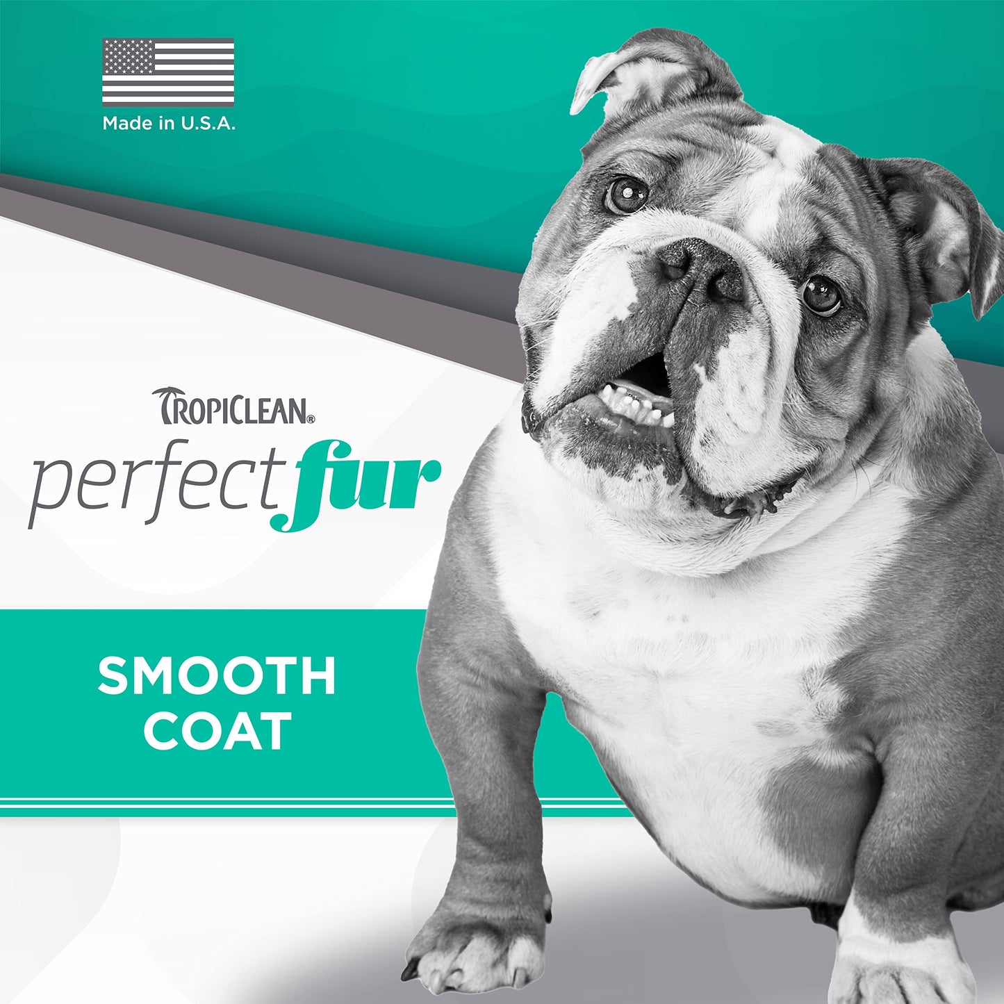 ODAC Overture Derma Serene Pet Shampoo, Gentle, Skin Friendly with Winter Cherry Root & Korean Patchouli, Rich Lather & Herbal Freshness, for Dogs & Cats, 10.14 fl oz Korea Beauty Pet Skincare
