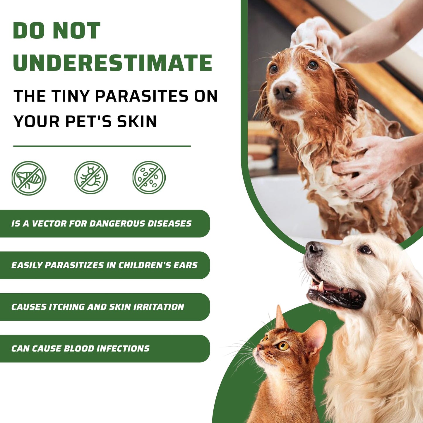 PE4U Natural Pet Shampoo for Dogs & Cats – Itch Relief, Odor Control & Deep Cleansing – Plant-Based Formula – Safe for Sensitive Skin, Reduces Shedding [Shampoo + Spray]