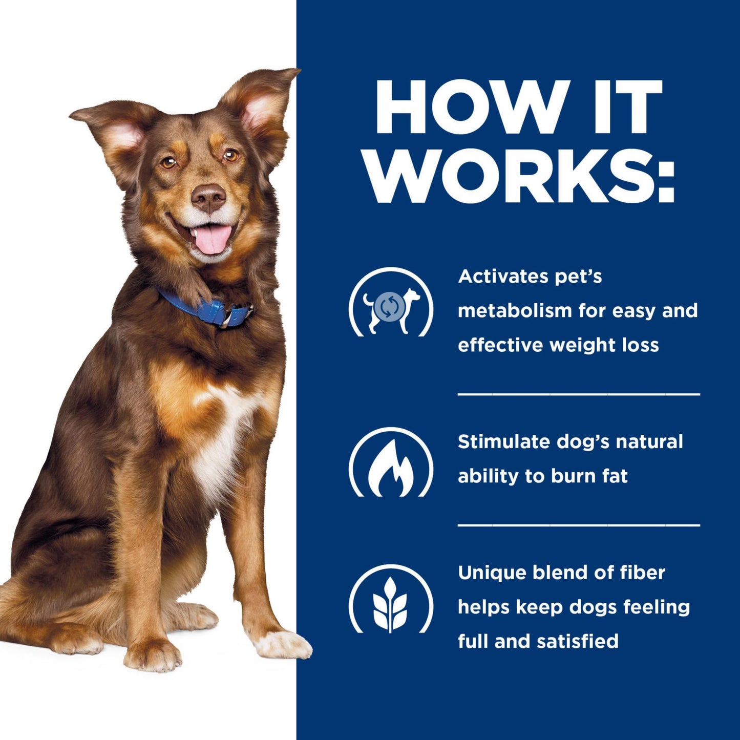 Hill's Prescription Diet Metabolic Weight Management Vegetable & Chicken Stew Wet Dog Food, Veterinary Diet, 12.5 oz. Cans, 12-Pack