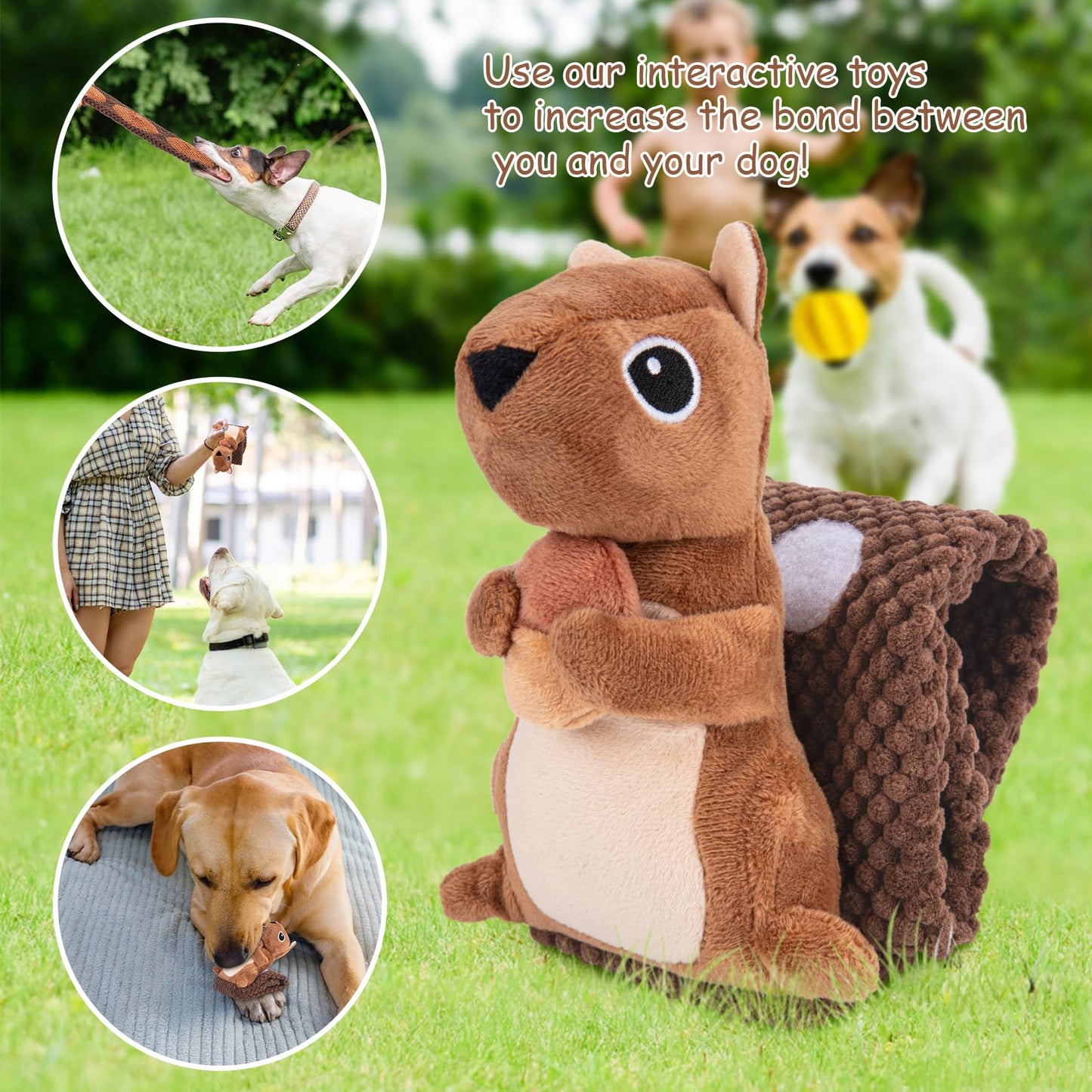 Dog Puzzle Toy, Squirrel Interactive Dog Toy with 2 Chew Balls, Squeaky Dog Toys to Keep Them Busy, Dog Treat Games for Small Puppy, Snuffle Enrichment Toy Anti Boredom, Cognitive Dogs Toy