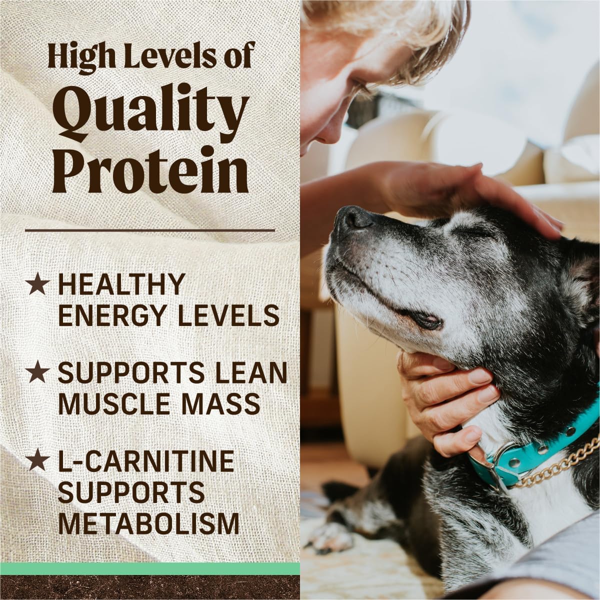 Merrick Premium Grain Free Dry Senior Dog Food, Wholesome And Natural Kibble, Real Chicken And Sweet Potato - 4.0 lb. Bag