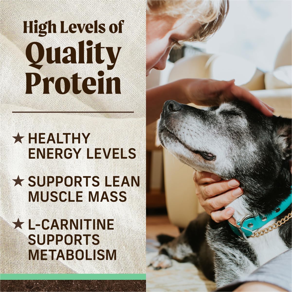 Merrick Premium Grain Free Dry Senior Dog Food, Wholesome And Natural Kibble, Real Chicken And Sweet Potato - 4.0 lb. Bag