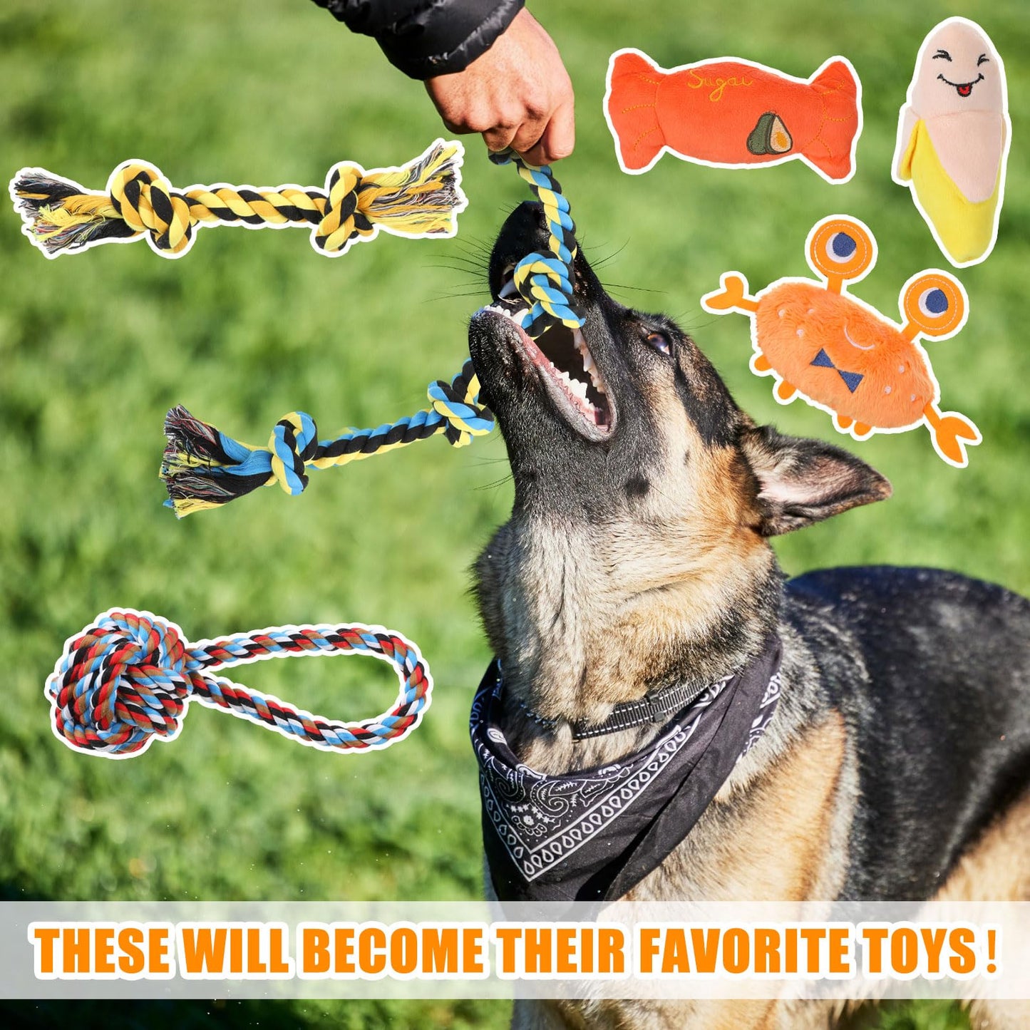 Leyndo 40 Pack Dog Chew Toys for Aggressive Dogs Plush Squeaky Rope Toys for Medium and Large Breed Pet Tug of War Teething Chew Tug