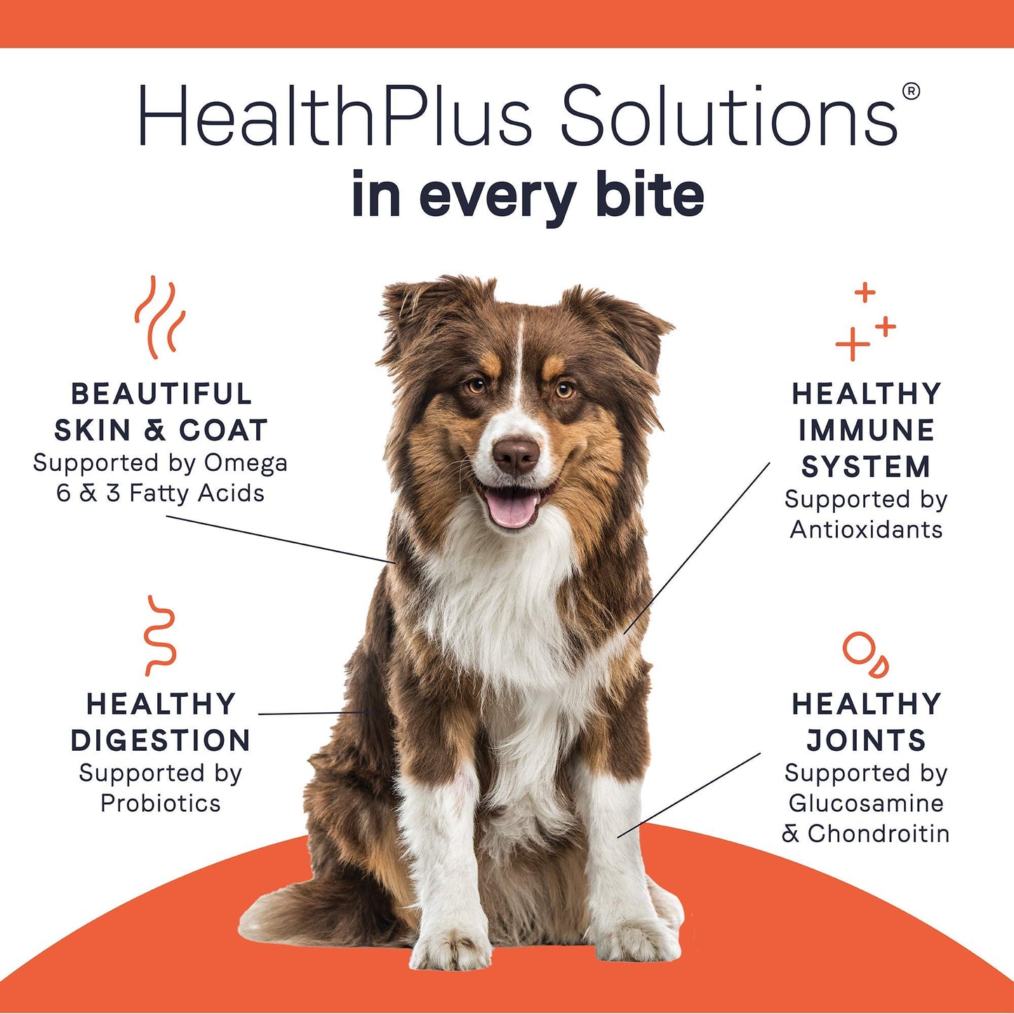 Canidae Under the Sun Premium Dry Dog Food For Puppies, Adults and Senior Dogs, Chicken Recipe, 40 Pounds, Grain Free