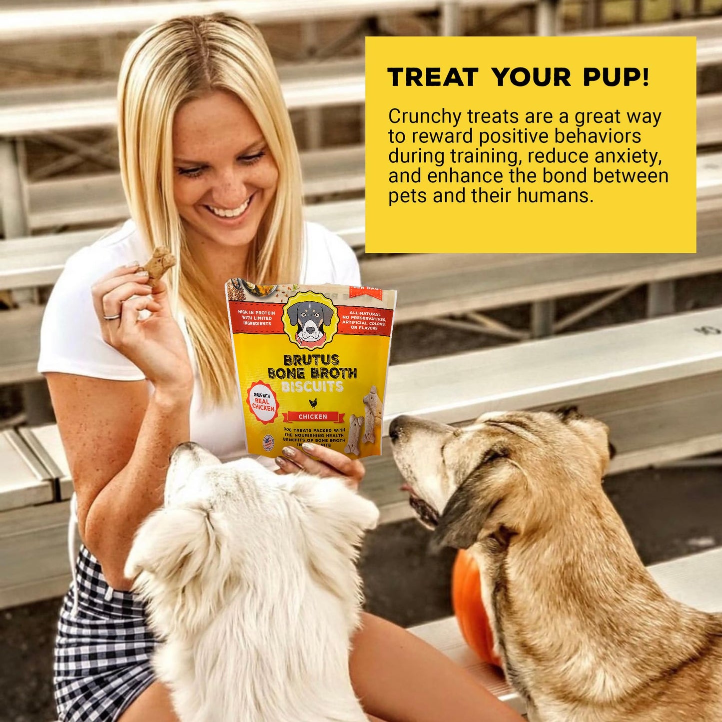 Brutus Bone Broth Biscuits (Chicken) - Healthy Dog Treats - Natural Biscuits with Dog Bone Broth and Real Chicken Meat - 18 Grams of Protein - 8 OZ (Pack of 2)