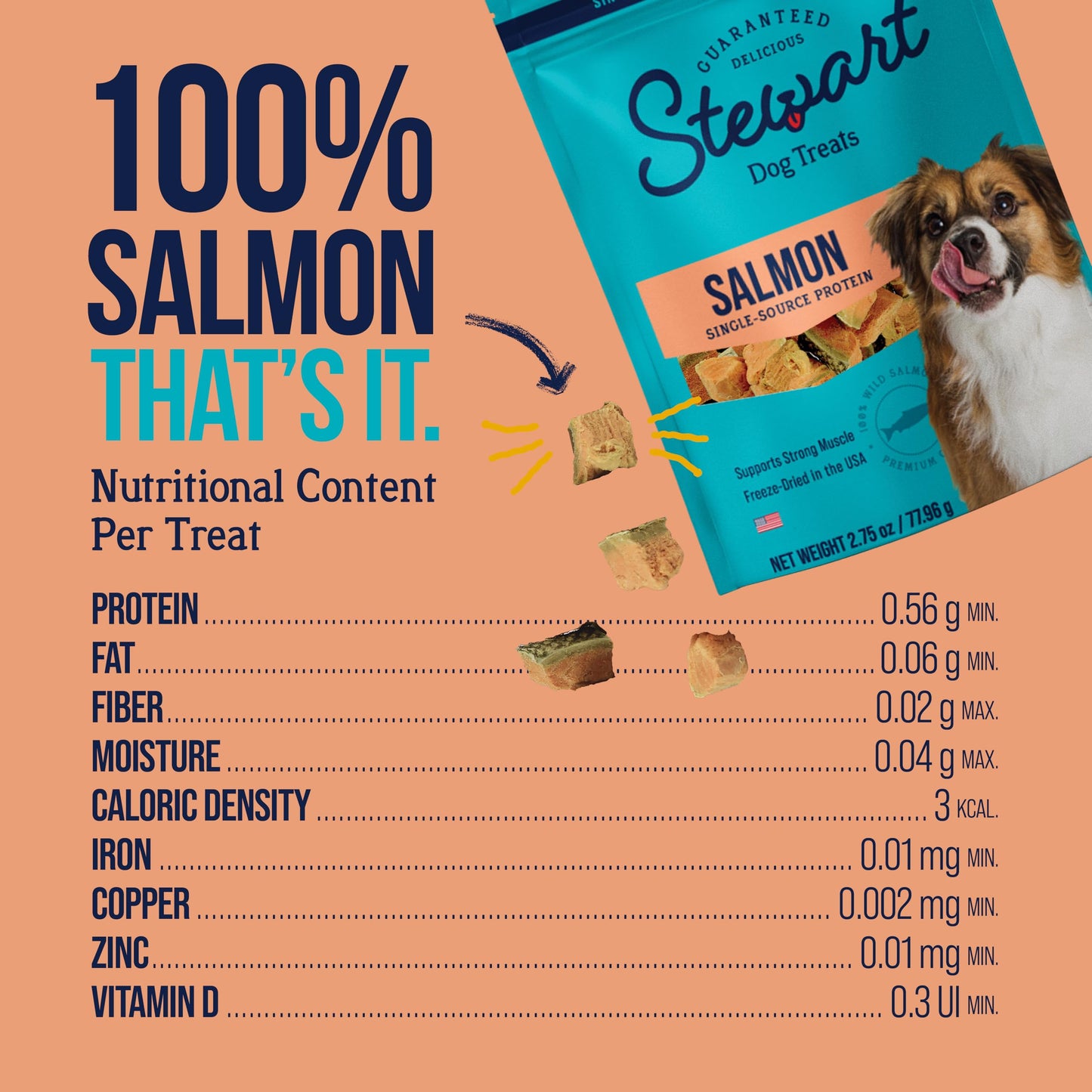Stewart Single Ingredient Freeze Dried Raw Dog Treats, Wild Salmon, 2.75 Ounce, Approx. 55 Pieces per Resealable Pouch, Training Treats or Meal Topper, High Protein, Grain Free, Gluten Free