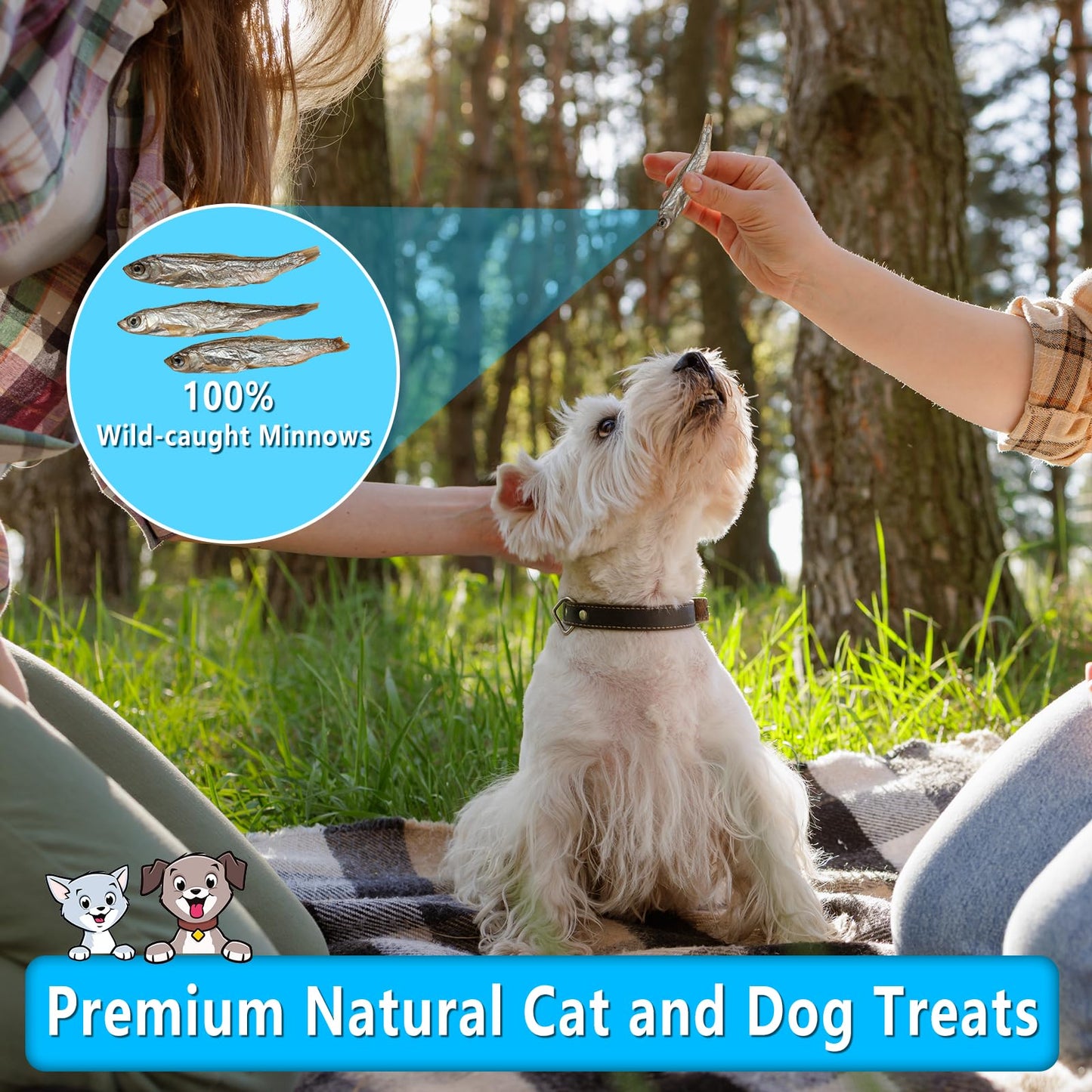 K9 Connoisseur Single Ingredient Dog Bones Made In USA For Large Breed Aggressive Chewers All Natural Long Lasting Meaty Mammoth Marrow Filled Bone Chew Treat Best For Dogs Over 50 LBS -Goliath 1 Pack