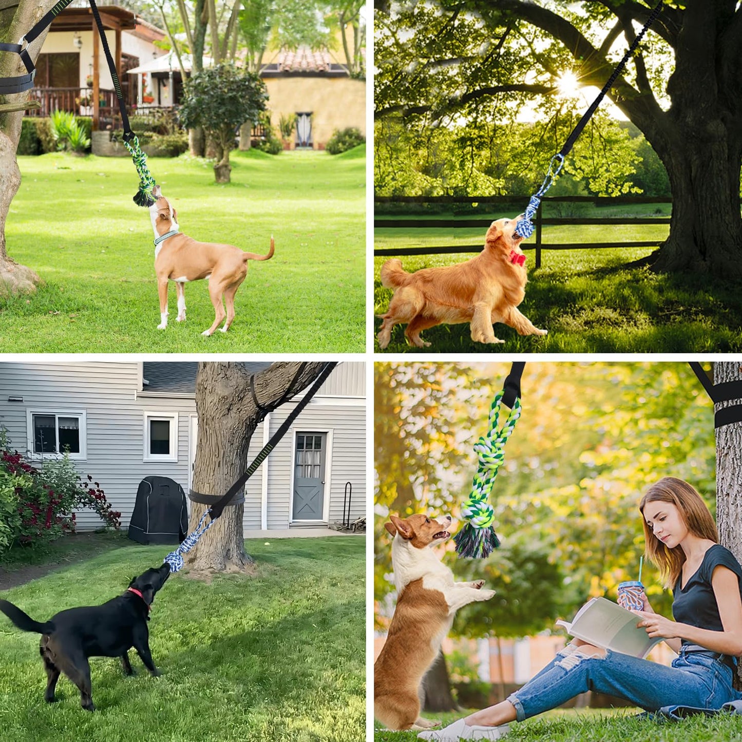 TUAHOO Outdoor Hanging Dog Bungee Tug Solo Toy, Tree Tugger Pull Rope & Tether Tug a War for Pitbull Medium Large Aggressive Chewers, Interactive Exercise Play Cord, 2 Dog Rope Toys