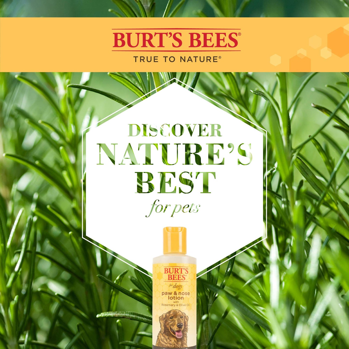 Burt's Bees for Pets Dog Lotion for Paw and Nose with Rosemary and Olive Oil - Soothing Dog Paw Balm Moisturizer for Cracked Pads & Dry Skin, Snout Soother for Dogs, Nose Butter for Dogs, 4 Fl Oz