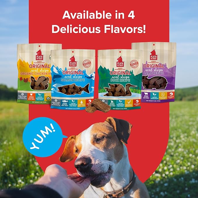 PLATO Original Real Strips Salmon 3oz, Natural (850002221497)