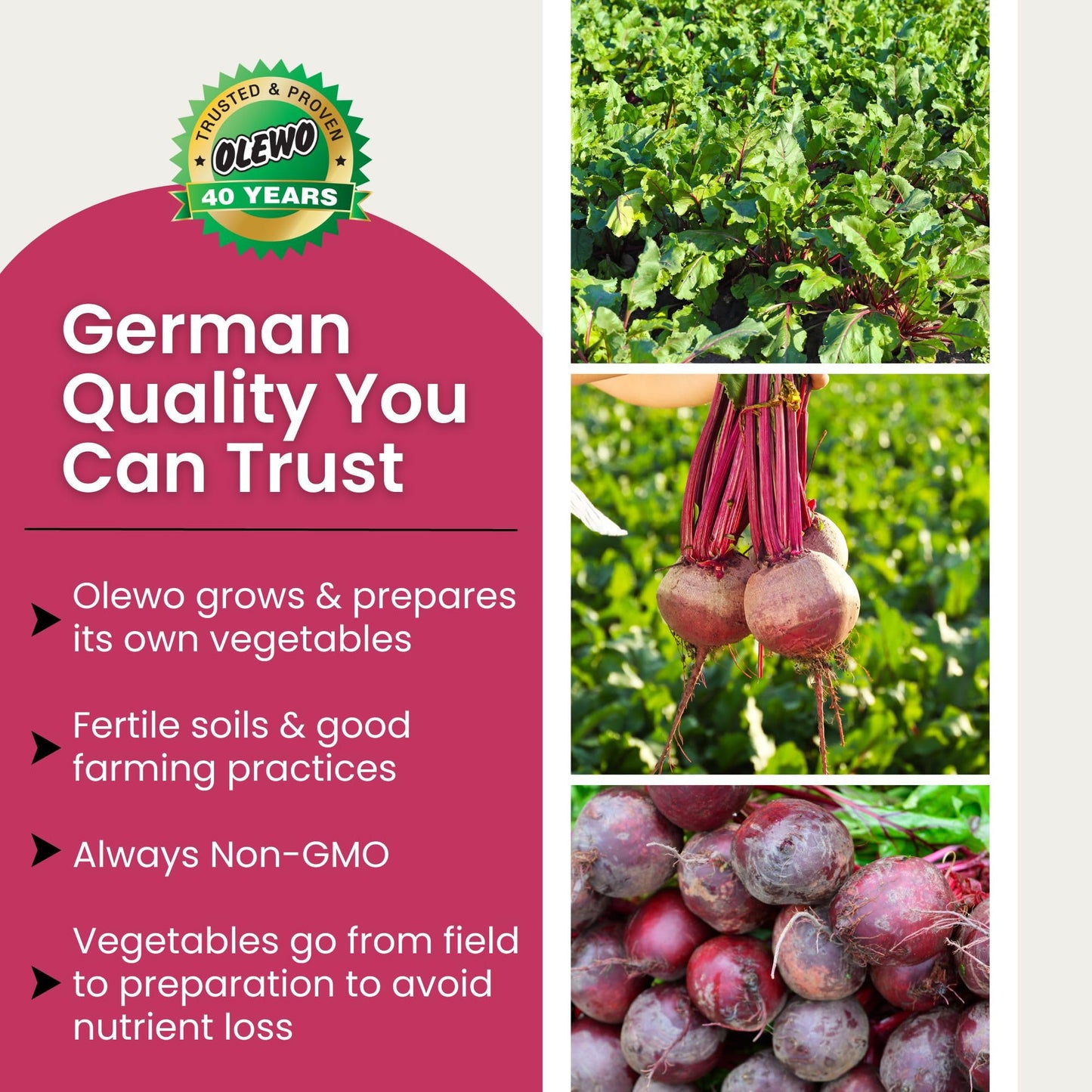 Olewo Red Beets for Dogs Granular – Natural Anti Itch Dog Food Topper, Immune, Cleansing, Skin & Coat Support, Dehydrated Whole Food Multivitamin & Fiber, 22 oz