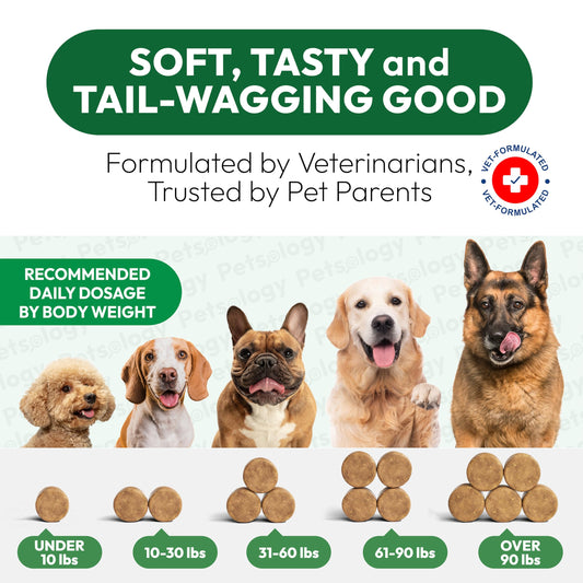 Petsology Glucosamine for Dogs - Hip and Joint Supplement for Dogs - 170 Mobility Chews - Glucosamine Chondroitin - MSM - Turmeric - Joint Pain Relief - Advanced Support for Dog Health - Made in USA