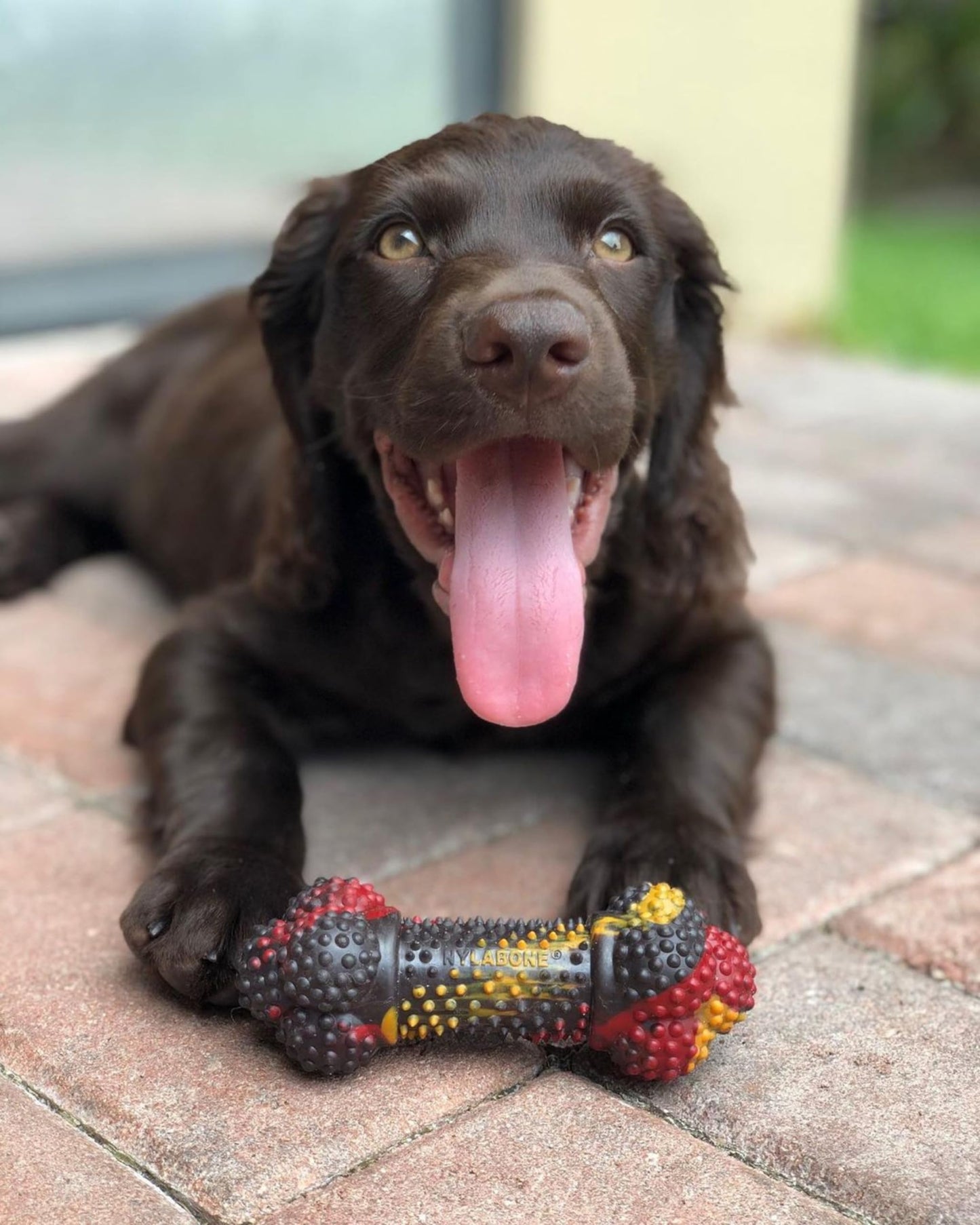 Omirich Lick Mat for Dogs and Cats - Slow Feeder Dog Bowls, Interactive Dog Lick Mat with Non-Slip Pad, Multipurpose Dog Feeding Mat for Boredom and Anxiety Relief, Dog Crate Lick mat for Training