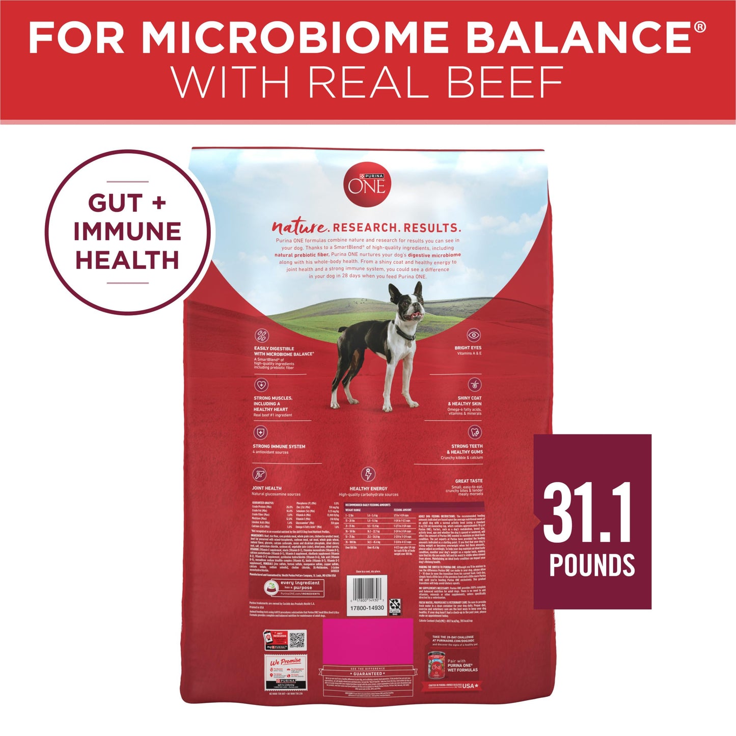 Purina ONE Small Bites Beef and Rice Formula Small High Protein Dry Dog Food Natural With Added Vitamins, Minerals and Nutrients - 31.1 lb. Bag