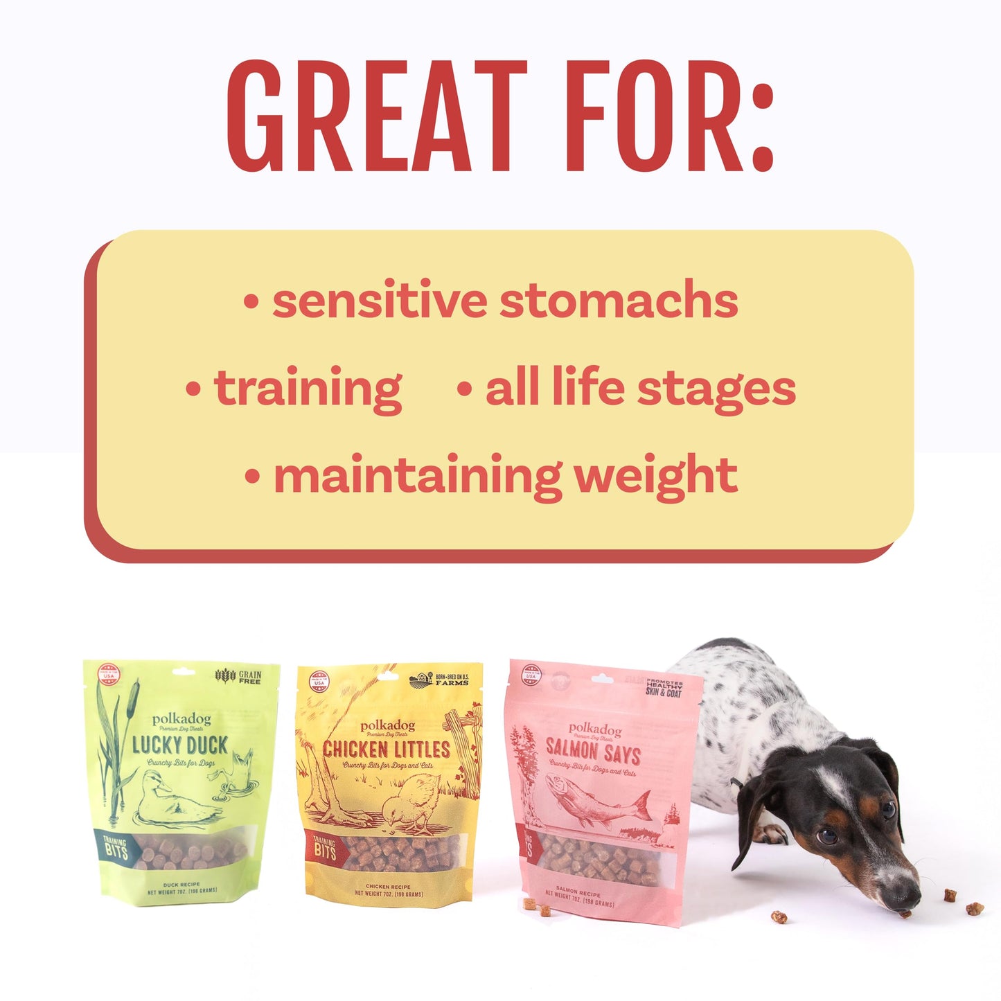 Polkadog Crunchy Training Bits Variety 3-Pack – Includes Chicken Littles, Lucky Duck, Salmon Says – All Natural Training Treats, Handcrafted in USA. Great for Dogs with Allergies – 7oz (Pack of 3)