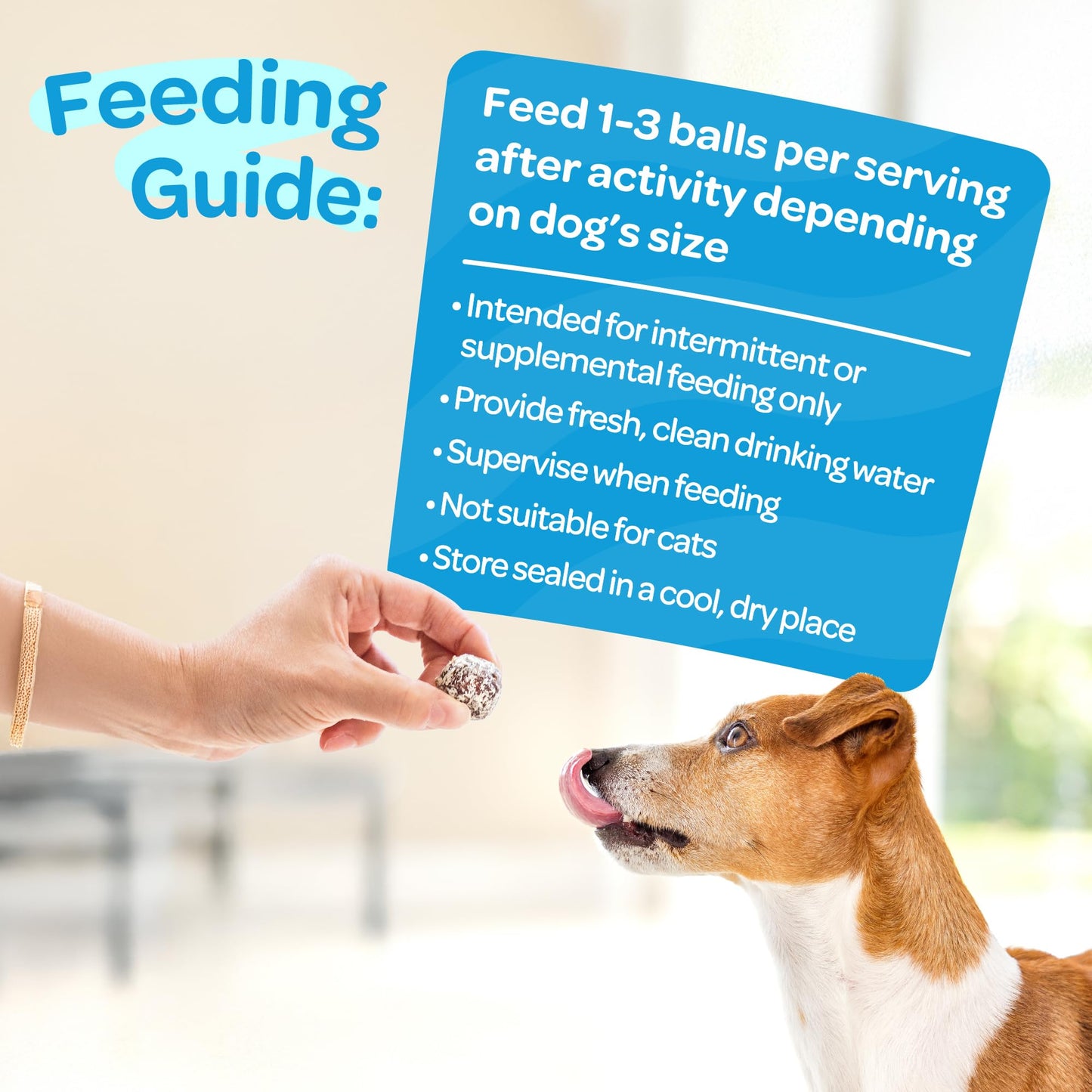 Nutritious All Natural Bulk Dog Treats - Vegan, Fiber-Rich, Human-Grade - All Breeds, Sizes, Ages - Made in New Zealand - Mango, Spinach & Chia - 6pk (108 Dog Treats Bulk)