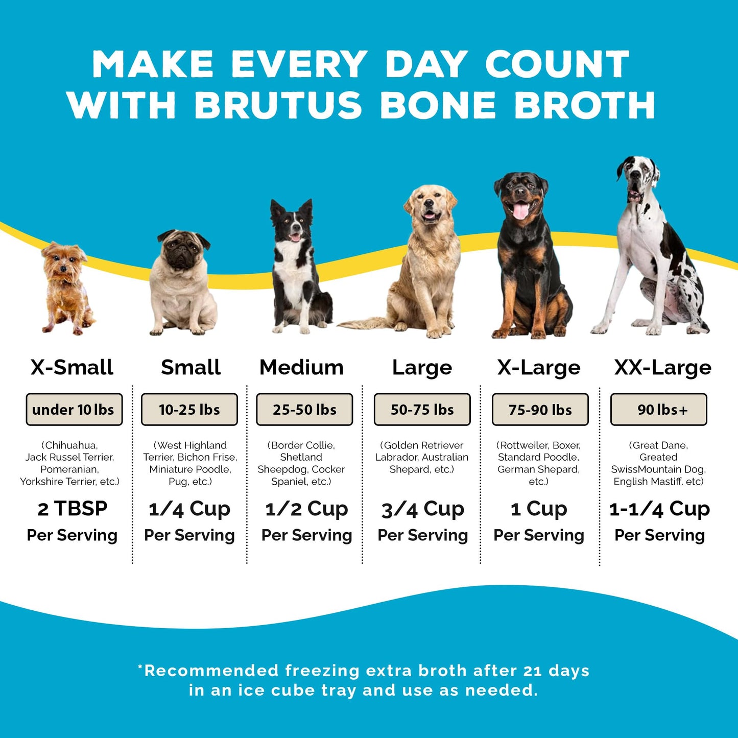Brutus Bone Broth for Dogs - Bone Broth Powder with Chondroitin Glucosamine & Turmeric - Human Grade Food Toppers for Dry Food & Picky Eaters - 5 Stick (Beef)