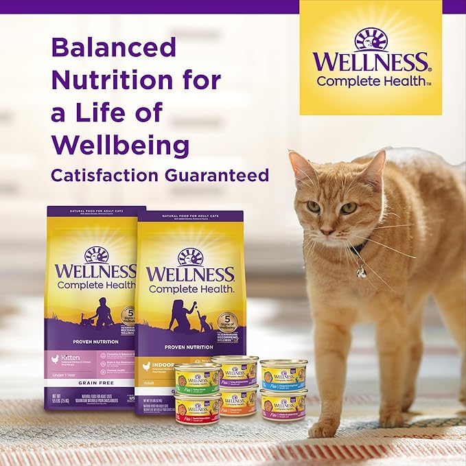 Wellness Complete Health Kitten Dry Cat Food for Indoor & Outdoor Cats, Wholesome Grains, Natural, Original Turkey, Turkey Meal and Chicken (5 Pound Bag)