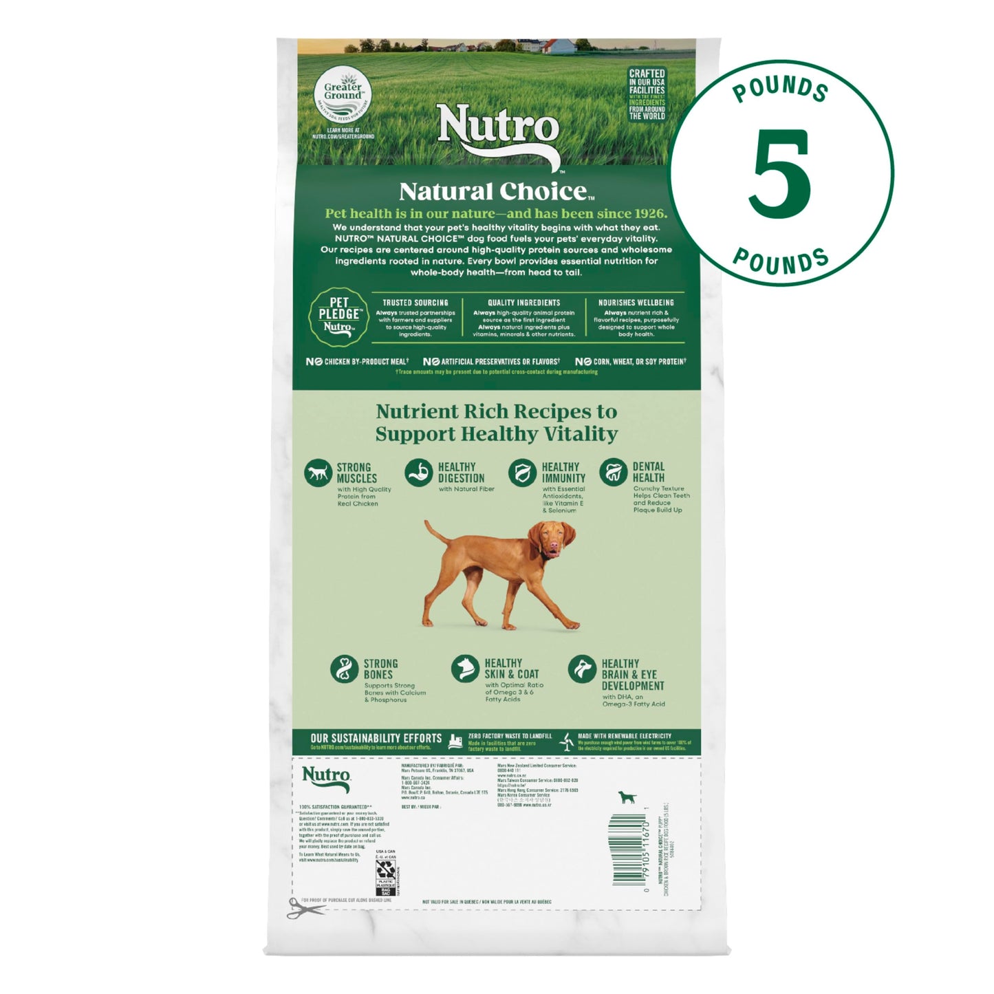 Nutro Natural Choice Puppy Dry Dog Food, Chicken and Brown Rice Recipe, 5 lbs.