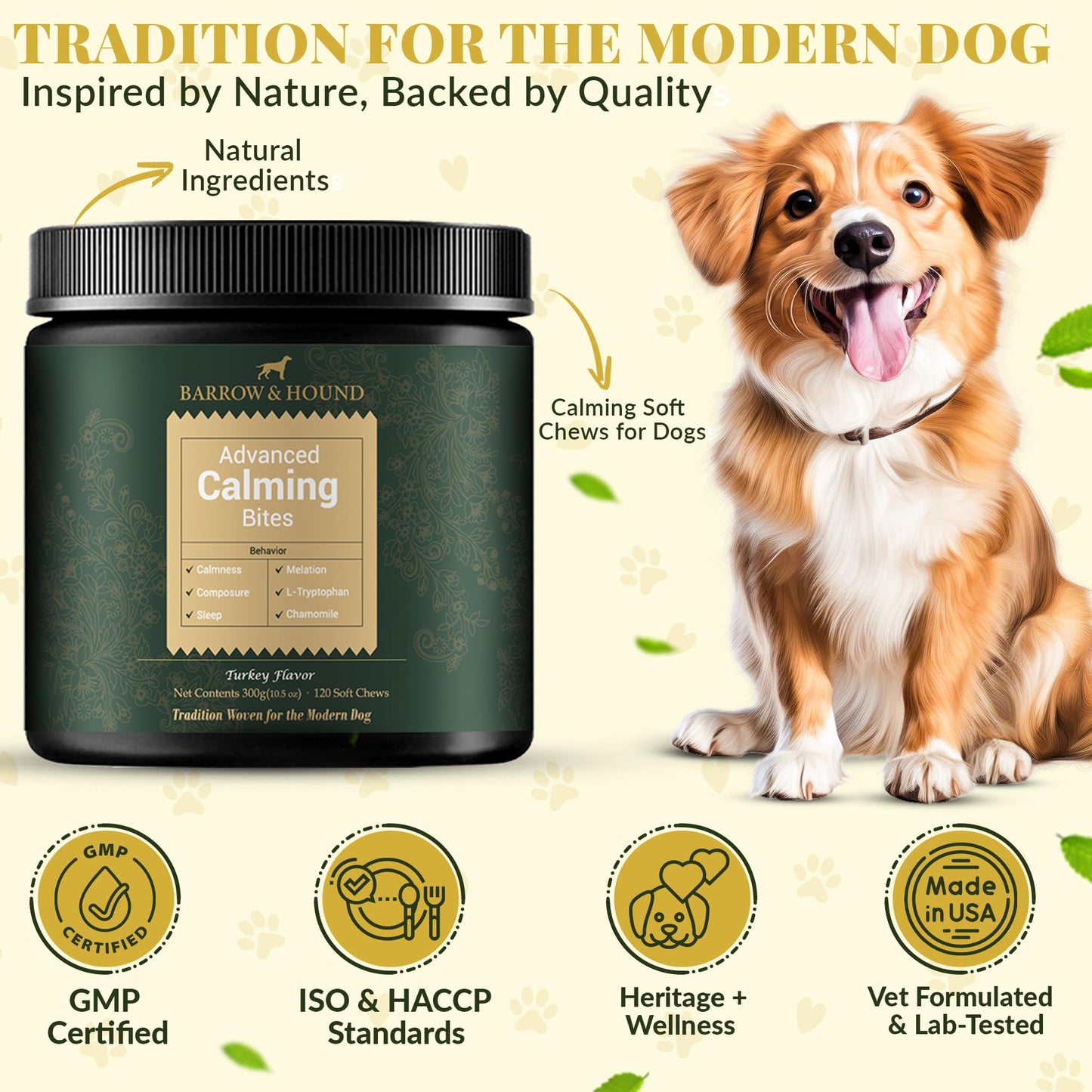 puyrzoe Dog Calming Diffuser with Three Timing Functions, 6-in-1 Dog Pheromones Calming Diffuser Kit, 120-Day Anxiety Relief, Stress Reduction & Relaxation for All Dogs (2 Diffusers + 4 Refills)