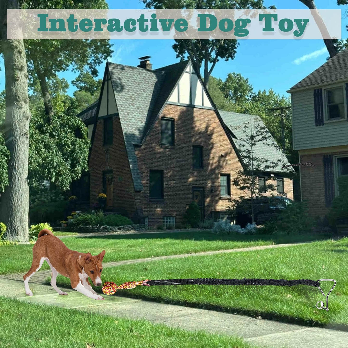 Dog Bungee Tug Toy for Large/Medium/Small Dogs, Dog tug of war Toy with Stake,Outdoor Interactive Toys Can Be Used on Lawns or Trees