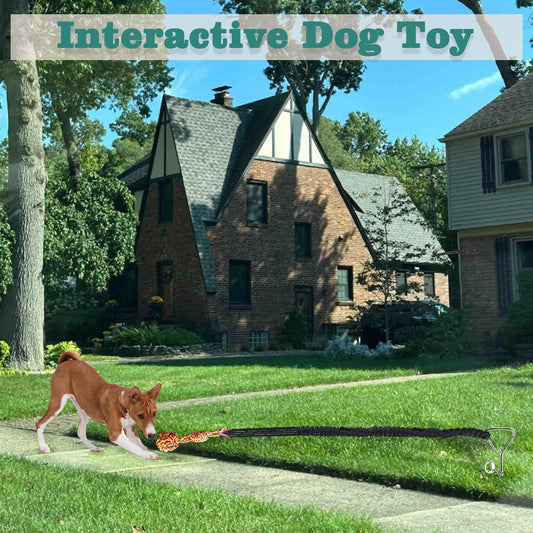 Dog Bungee Tug Toy for Large/Medium/Small Dogs, Dog tug of war Toy with Stake,Outdoor Interactive Toys Can Be Used on Lawns or Trees