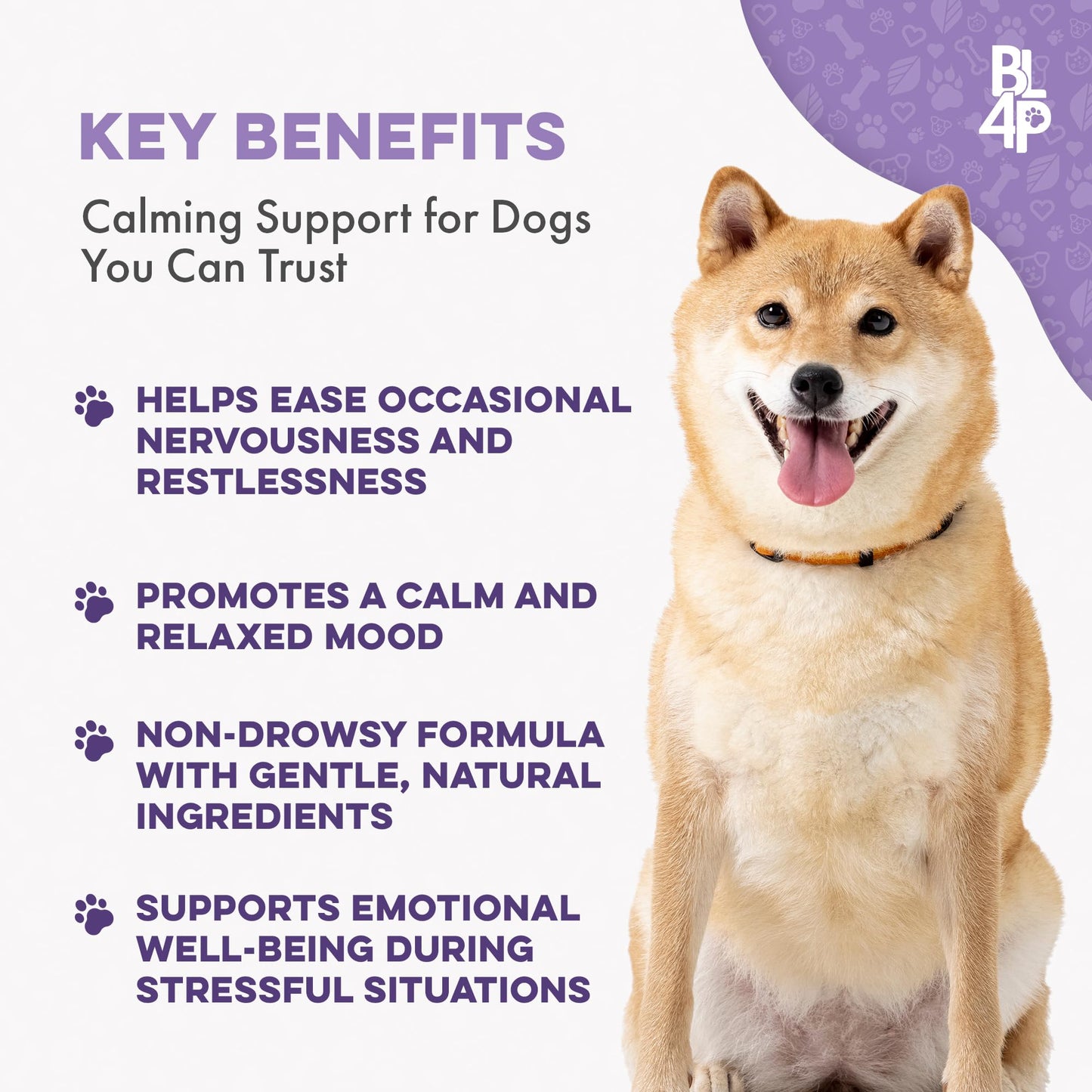 Pet Relax Dog Calming Anxiety Relief, Long-Lasting Dog Relaxants for Stress Relief, Natural Solution for Separation Anxiety, Travel, Thunderstorms, and Fireworks, 400 Odorless, Tasteless Pills