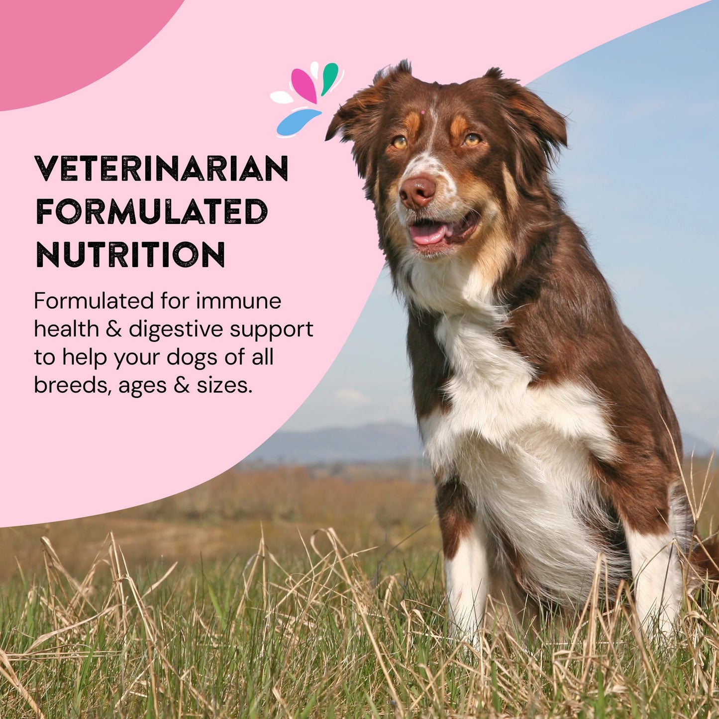 Happy Go Healthy Daily Wellness Supplements for Dogs | Probiotic & Prebiotic Benefits with Fish Oil & Seaweed to Keep Your Dog Beaming All Day Long | All Breeds and Sizes | 60 Count