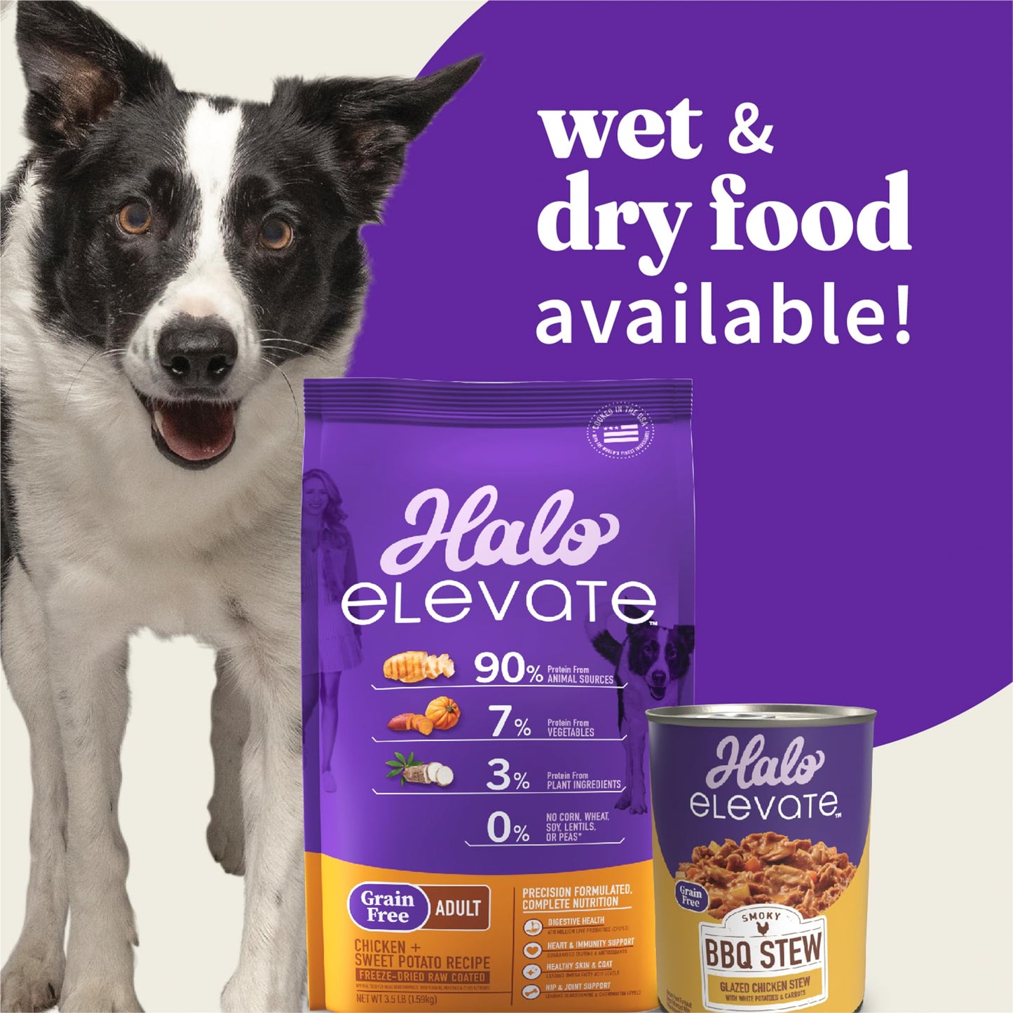 Halo Elevate Wet Dog Food Smoky BBQ Braised Glazed Chicken Stew Recipe, Grain Free Canned Dog Food, 12.7 Oz Can (Pack of 6)