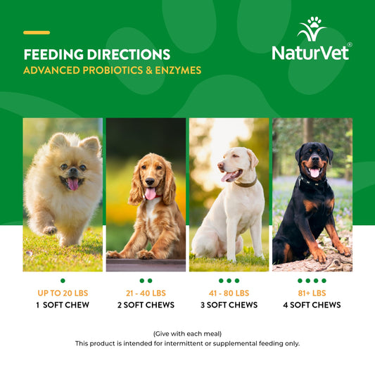 NaturVet Advanced Probiotics & Enzymes, PB6 Dog Soft Chews to Help Sensitive Stomachs and Digestive Issues, Hickory Smoked Bacon Flavored Pet Supplement for Dogs Over 6 Weeks, 120 Count Jar