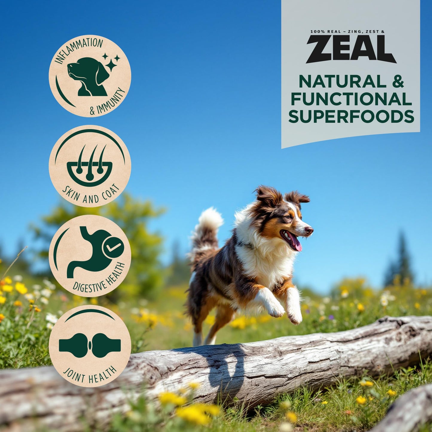 ZEAL Canada Air-Dried Beef Recipe for Dogs - High Protein, Natural Superfoods, Nutrient Rich, No Fillers, Grain Free, Complete & Balanced (Beef, 1 lb)