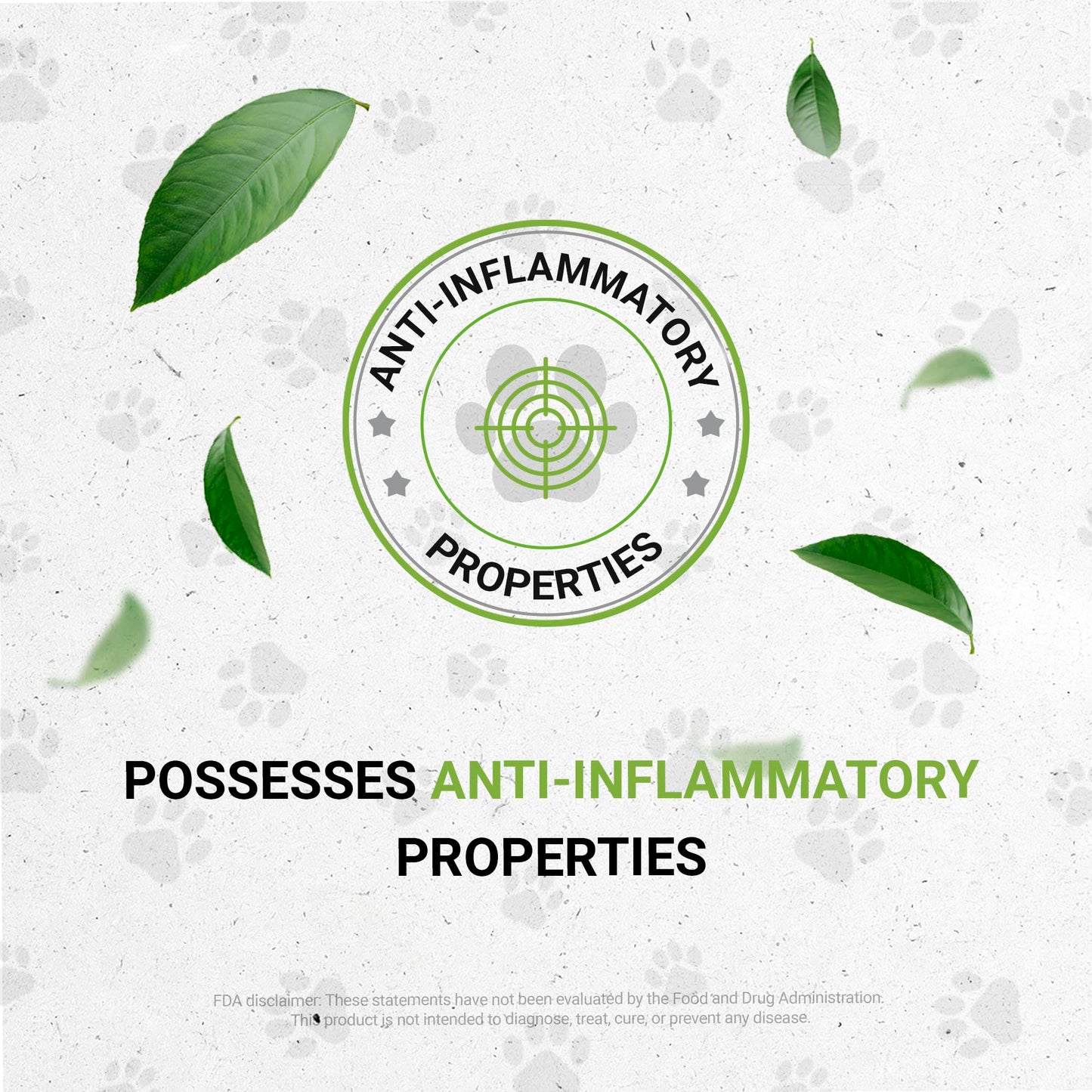 Wolf's Immune Boost | Natural Herbal Dietary Supplement for Dogs | Immune Support in Dogs | Alcohol-Free Extract, Elder Flowers, Calendula, Dandelion Root, Lemon Balm, Fennel 2 oz