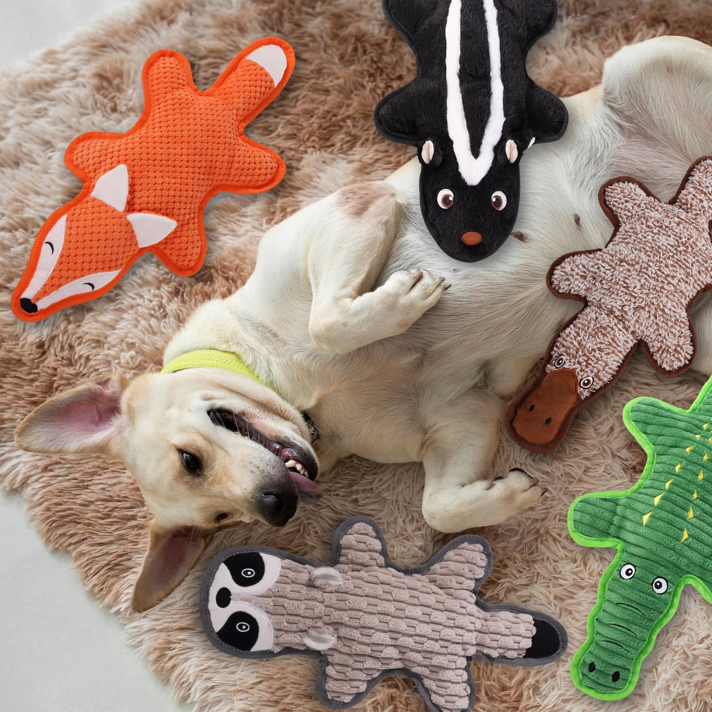 5 Pack No Stuffing Squeaky Dog Toys for Aggressive Chewers - Interactive Durable Plush Chew Toy with Crinkle Paper, Safe Pet Toy for Small to Large Breed, Ideal for Puppy Gifts & Tug of War Toys