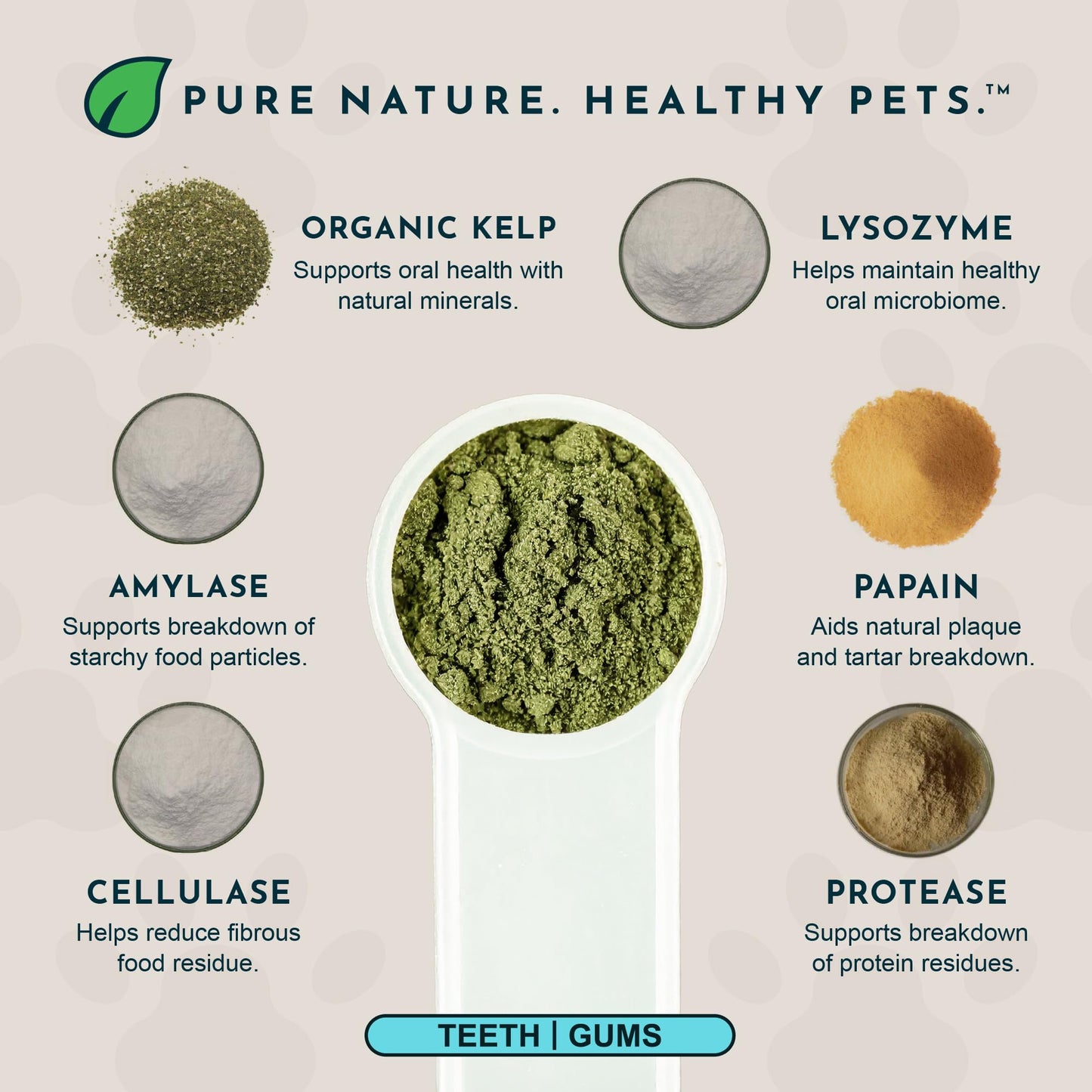 Animal Essentials SeaDent for Dogs - Kelp and Enzymes Plaque, Tartar Control Formula, Alpha Beta Amylase, Cellulase, Marshmallow Root, Slippery Elm Inner Bark, All Natural - 2.5 Oz (Pack of 1)