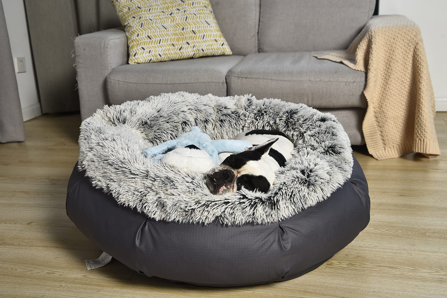 PetMedics 5-in-1 Calming Behavioral Stuffed Dog Toy: Heartbeat, Soothing Sounds, Heating Pads, Lavender Scent - Anxiety Relief, Crate Training - Ideal for Moderate & Soft Chewing Dogs & Puppies