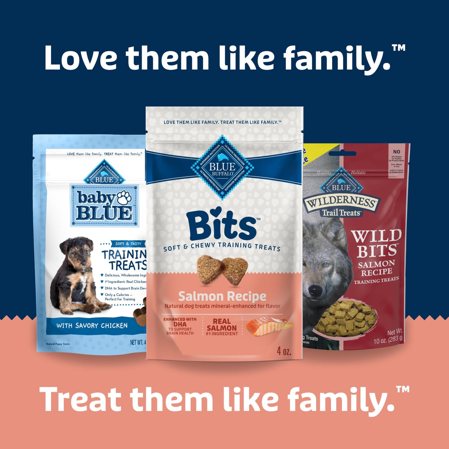 Blue Buffalo Bits Soft Dog Treats for Training, Made with Natural Ingredients & Enhanced with DHA, Salmon Recipe, 4-oz Bag
