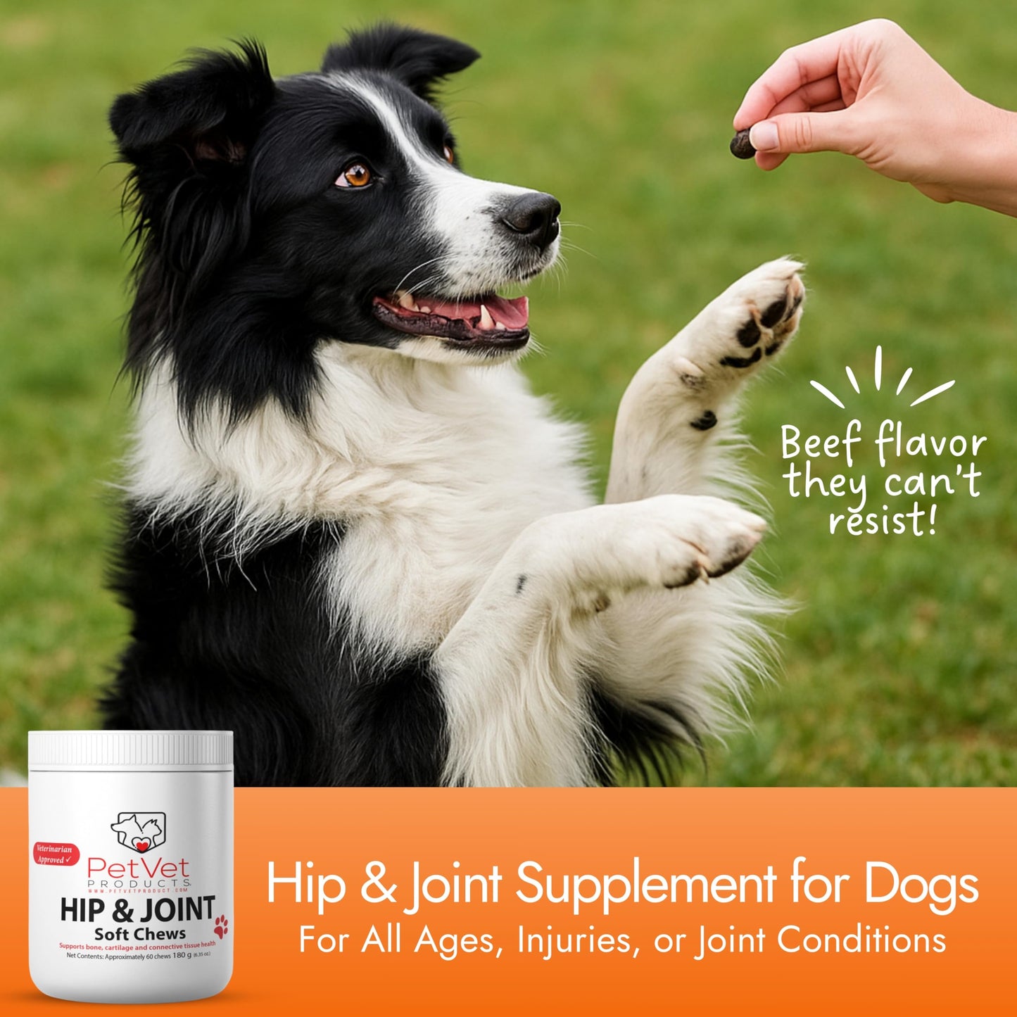 Pet Vet Products Dog Hip and Joint Supplement - Glucosamine for Dogs (Beef Liver, 60 Chews) - Dog Joint Supplement with MSM, Chondroitin, Vet Approved Dog Vitamins -Mobility Joint Pain Supplements
