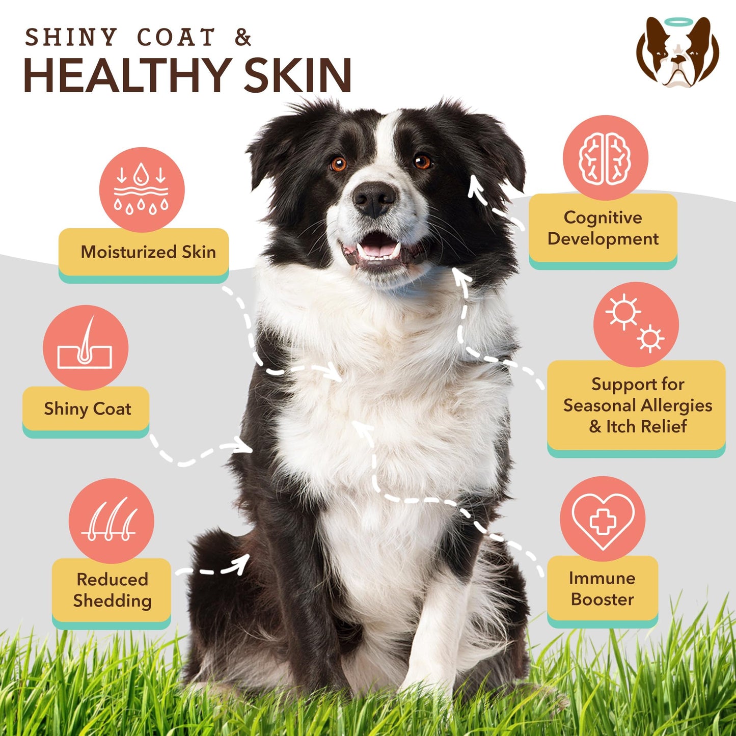 Natural Dog Company Healthy Joints, Skin and Coat Bundle for Dogs, Includes (1) Bottle Natural Dog Company Skin and Coat Oil, (1) Bottle Liquid Glucosamine, Food Topper, Dog's Fish Oil Supplement