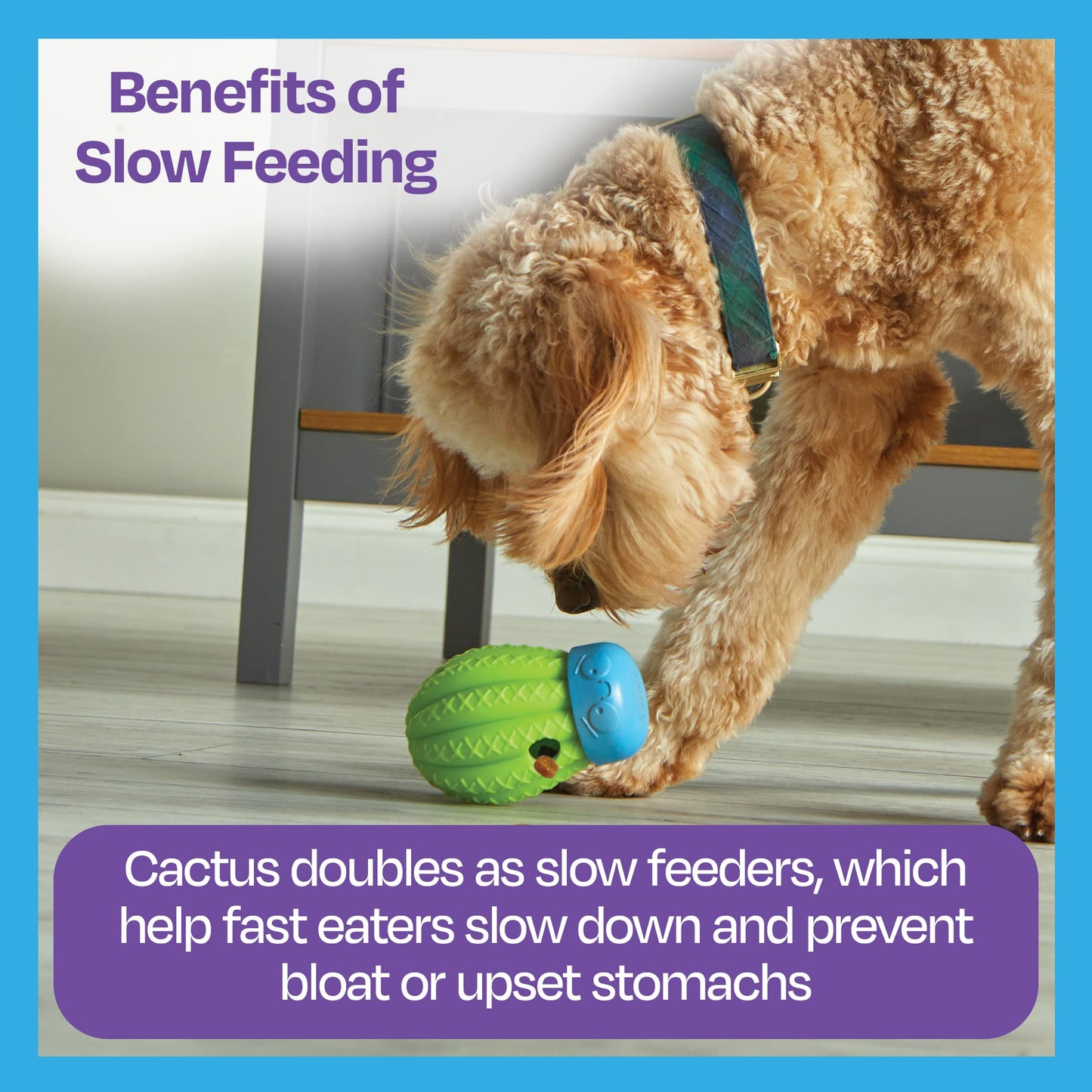Brightkins Cactus Surprise Treat Dispenser - Treat Dog Toys, Treat Dispenser for Dogs, Dog Birthday Toy for All Breeds Medium
