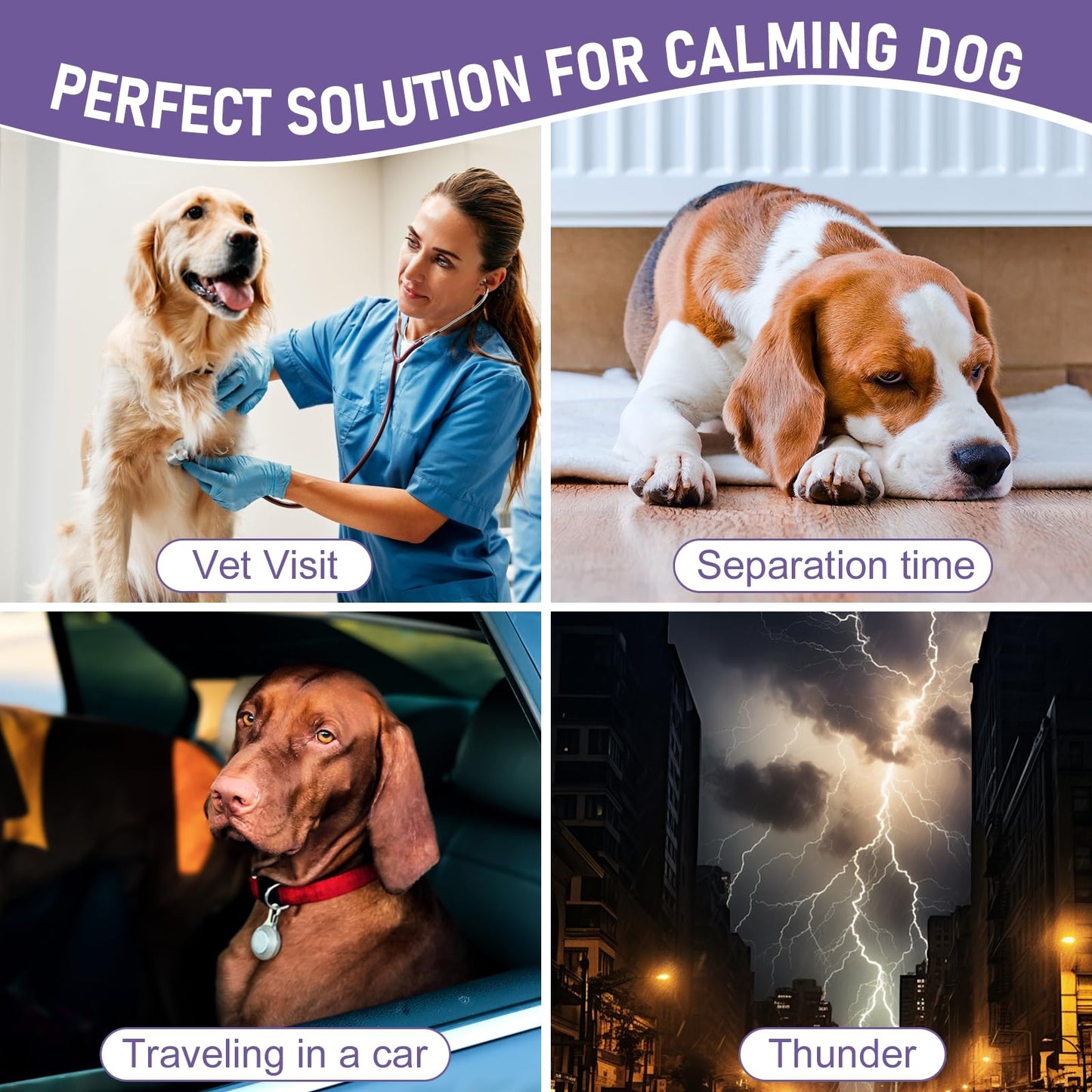 Valerian Root for Dogs, Valerian Root for Anxiety and Stress Relief in Dogs, Herbal Supplement to Help Support Calmness, Dog Sedative Calming Drops for Dogs, 2 fl oz