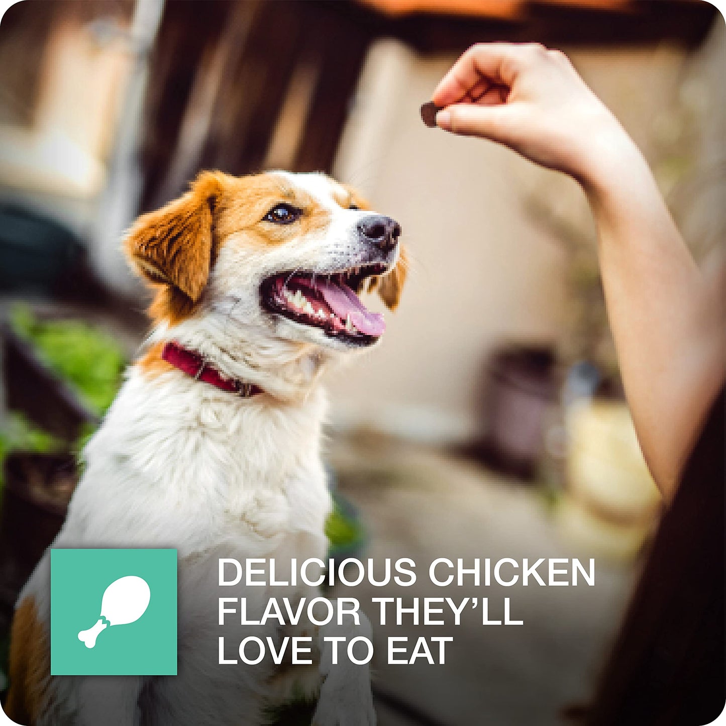 VetIQ Pill Treats Advanced Formula for Dogs, Chicken Flavor Soft Chews, Made in The USA, 30 Count (Pack of 2)