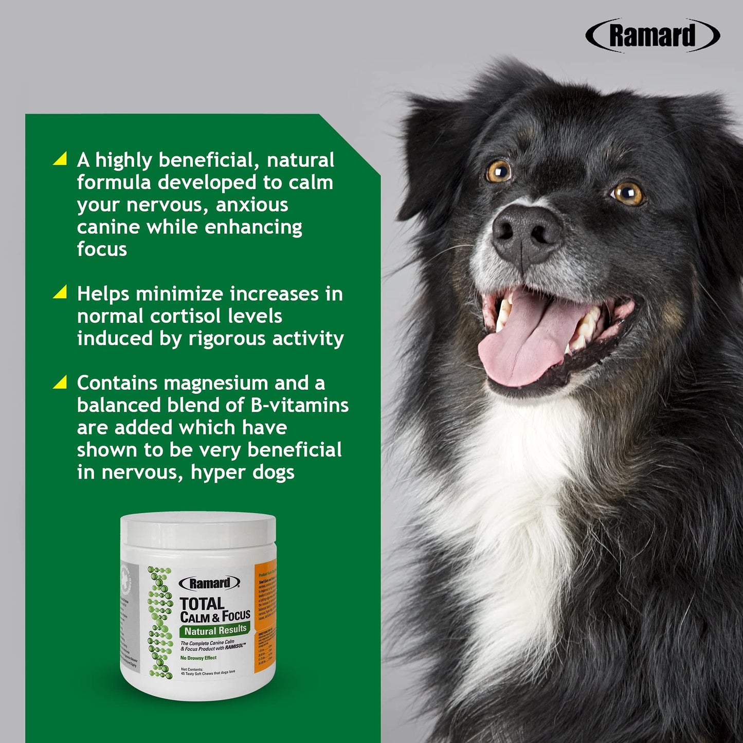 Ramard Total Calm & Focus Dog Treat Supplement - Natural Calming Chews with Magnesium & B-Vitamins - 45 Soft Chews for Canine Calmness During Training, Grooming, and Everyday Enjoyment