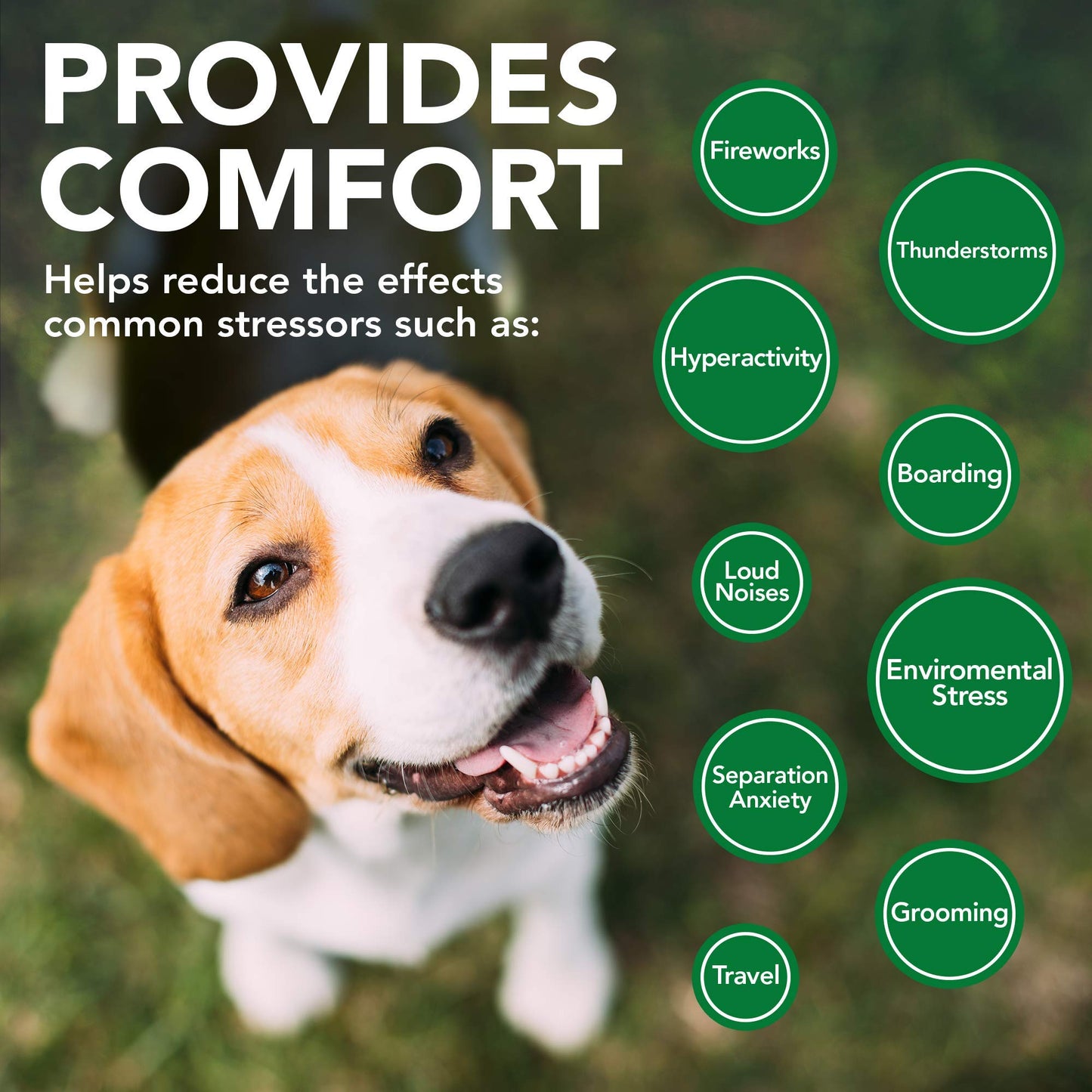 Vet's Best Comfort Calm Calming Soft Chews Dog Supplements - Dog Calming Aid Supports Dog Balances Behavior - Promotes Relaxation - 30 Day Supply