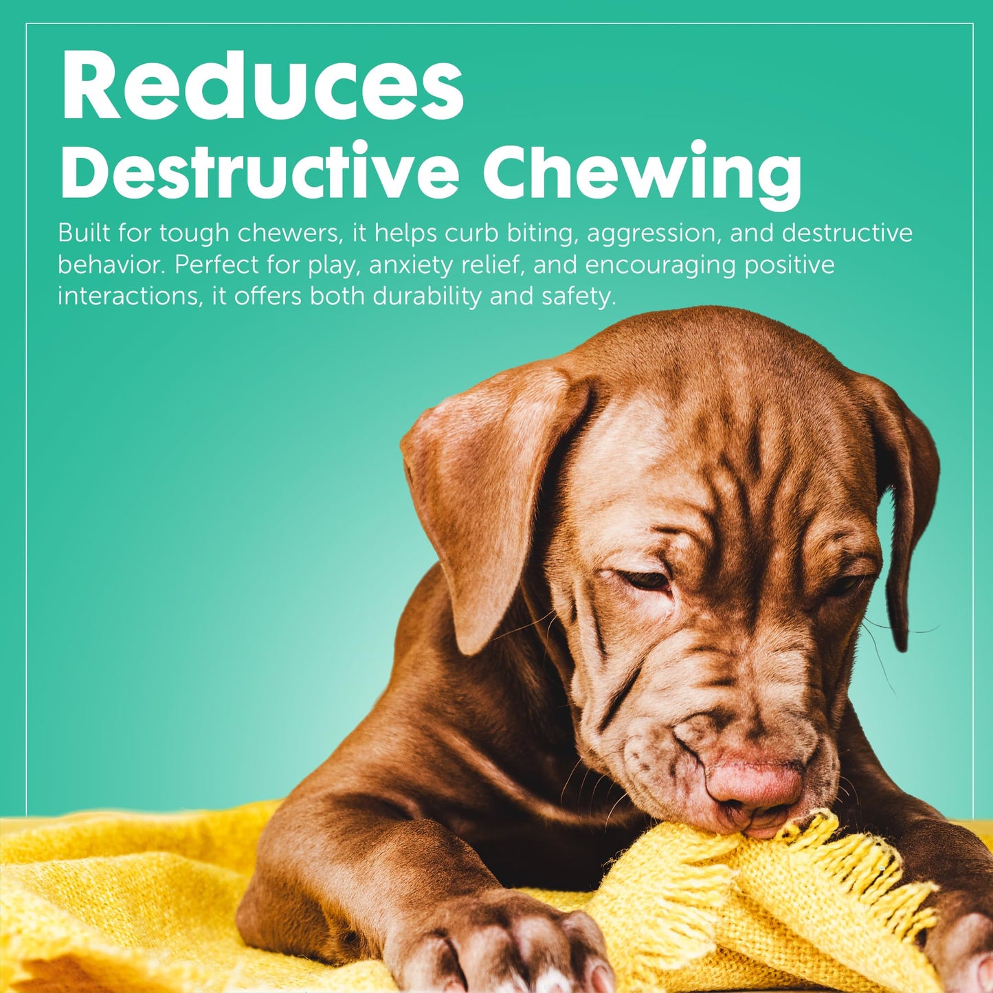 Chew Toys for Aggressive Chewers - Pack of 3 Treat Dispensing Ring, Bone, Shoe Interactive Puzzle Toys, Enrichment Toys for Boredom and Brain Stimulating Game Keeps Dogs Engaged