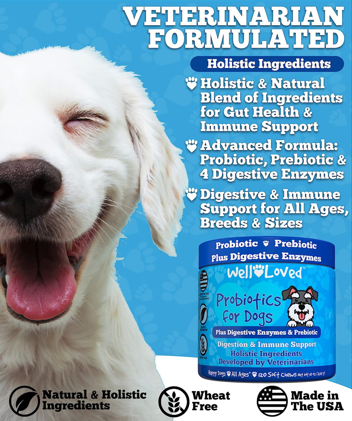 Well Loved Probiotics for Dogs, Dog Probiotics, Made in USA, Vet Developed for Gut Health, Yeast Balance, Itchy Skin, Diarrhea & Gas Relief, Chews with Prebiotic & Digestive Enzymes, Digestive Support