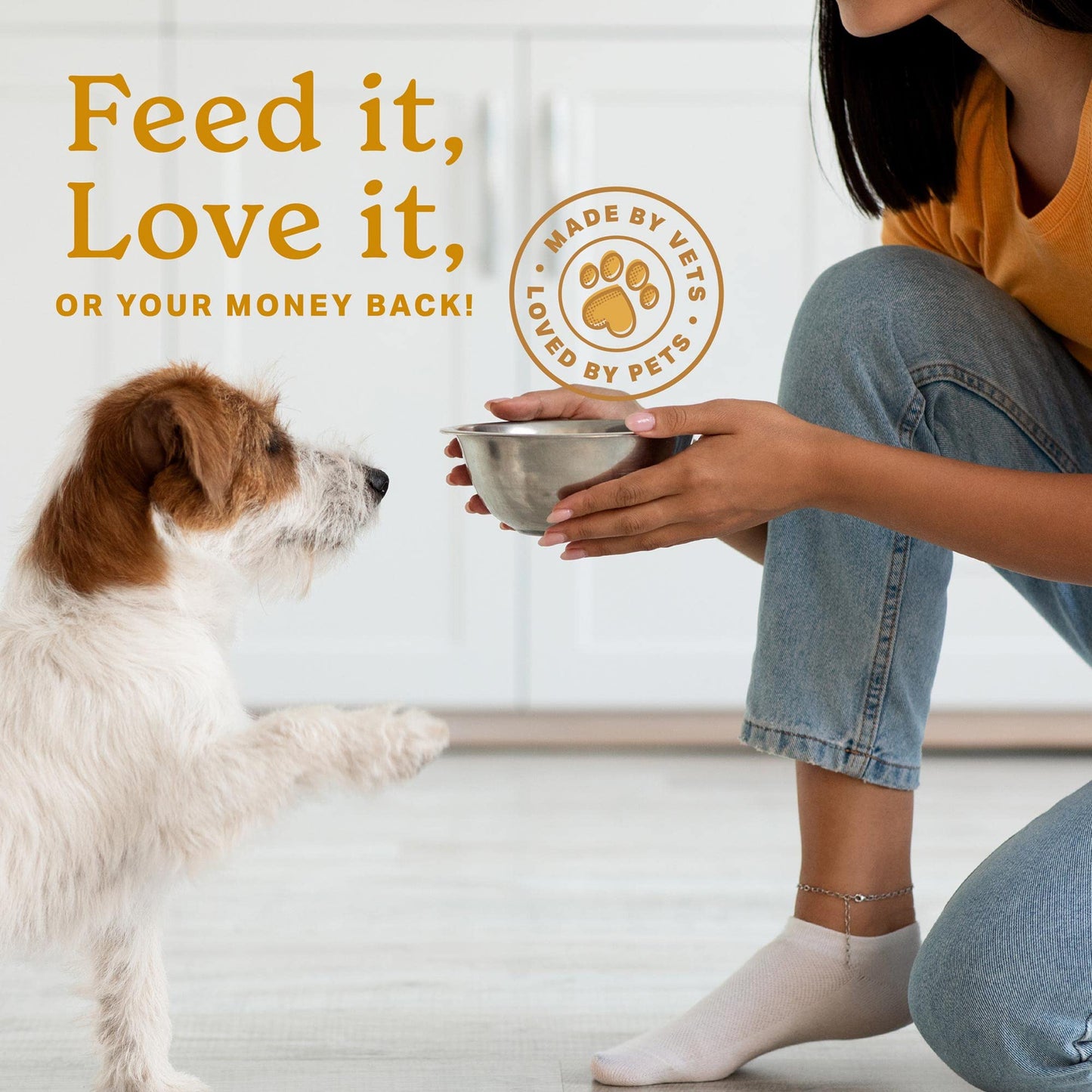 The Missing Link Original All Natural Superfood Dog Supplement- Balanced Omega 3 & 6 to support Healthy Skin & Coat – Skin & Coat Formula – 1 lb.