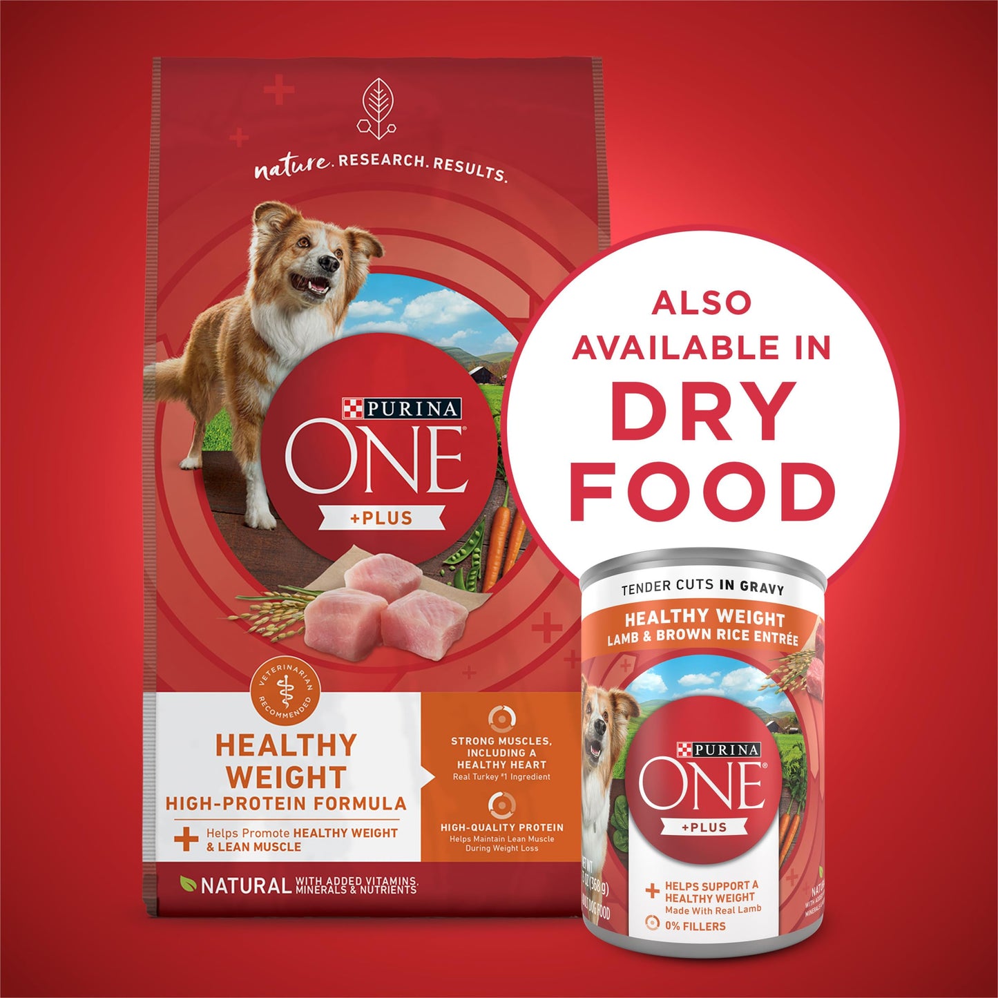Purina ONE Plus Tender Cuts in Gravy Healthy Weight Lamb and Brown Rice Entree in Wet Dog Food Gravy - (Pack of 12) 13 oz. Cans