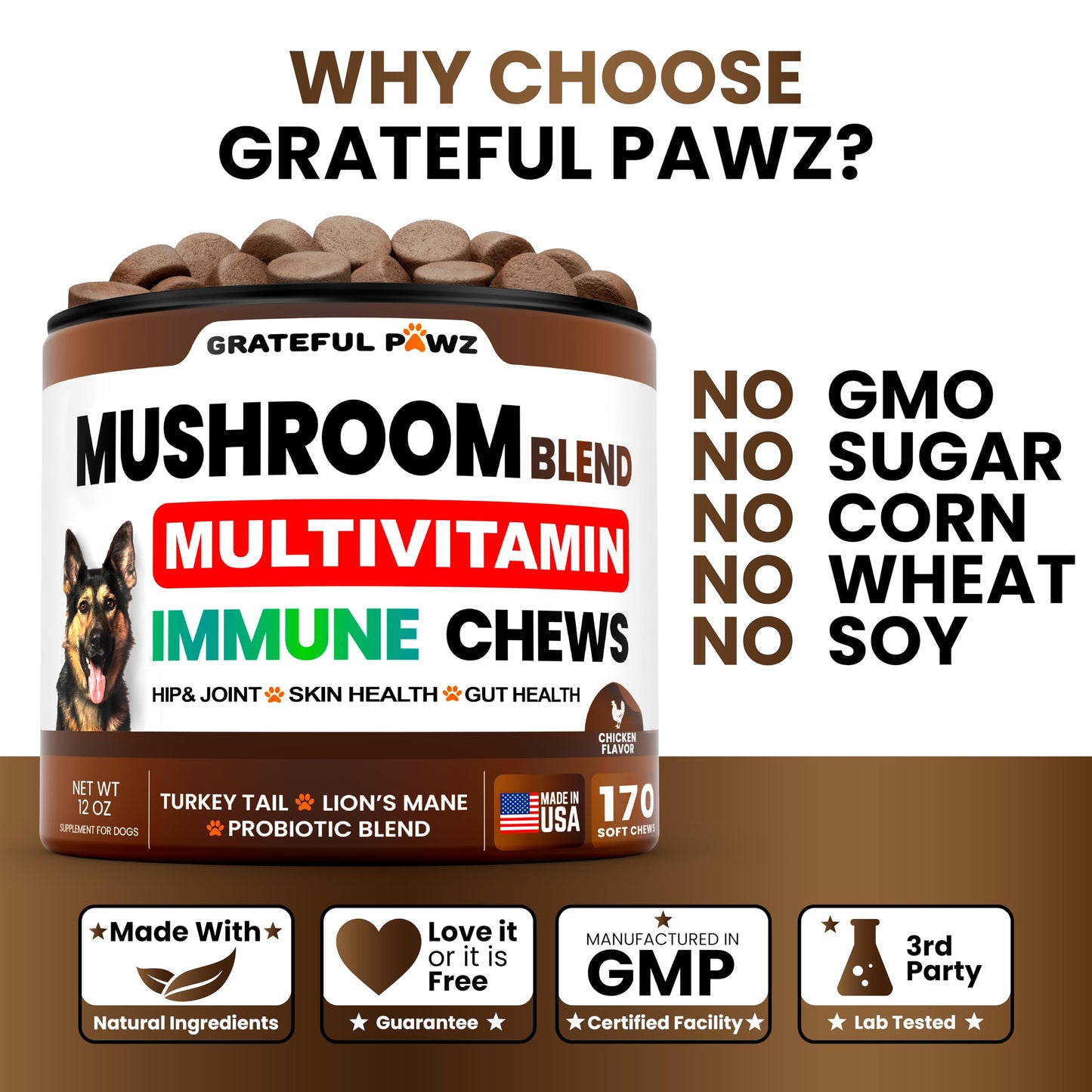 Mushroom Supplement for Dogs - 170 Chews - Mushrooms for Dogs - Turkey Tail, Reishi, Lion’s Mane, Glucosamine Multivitamin - Immune Booster, Gut, Hip & Joint Health Support Vitamins, Energy & Skin